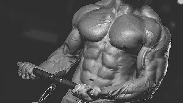 Build More Muscle To Speed Up Your Metabolism