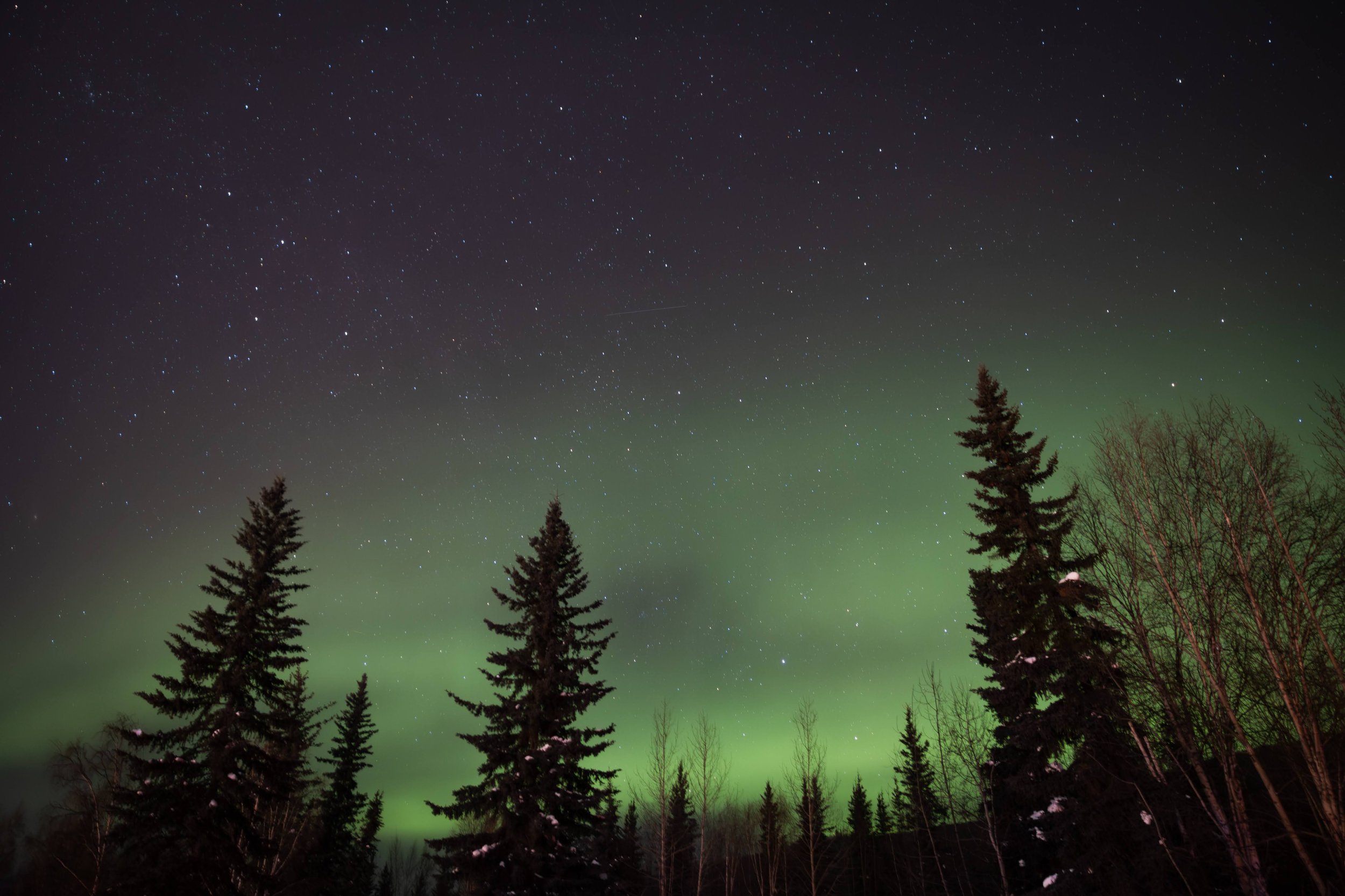 Alaska-356.jpg