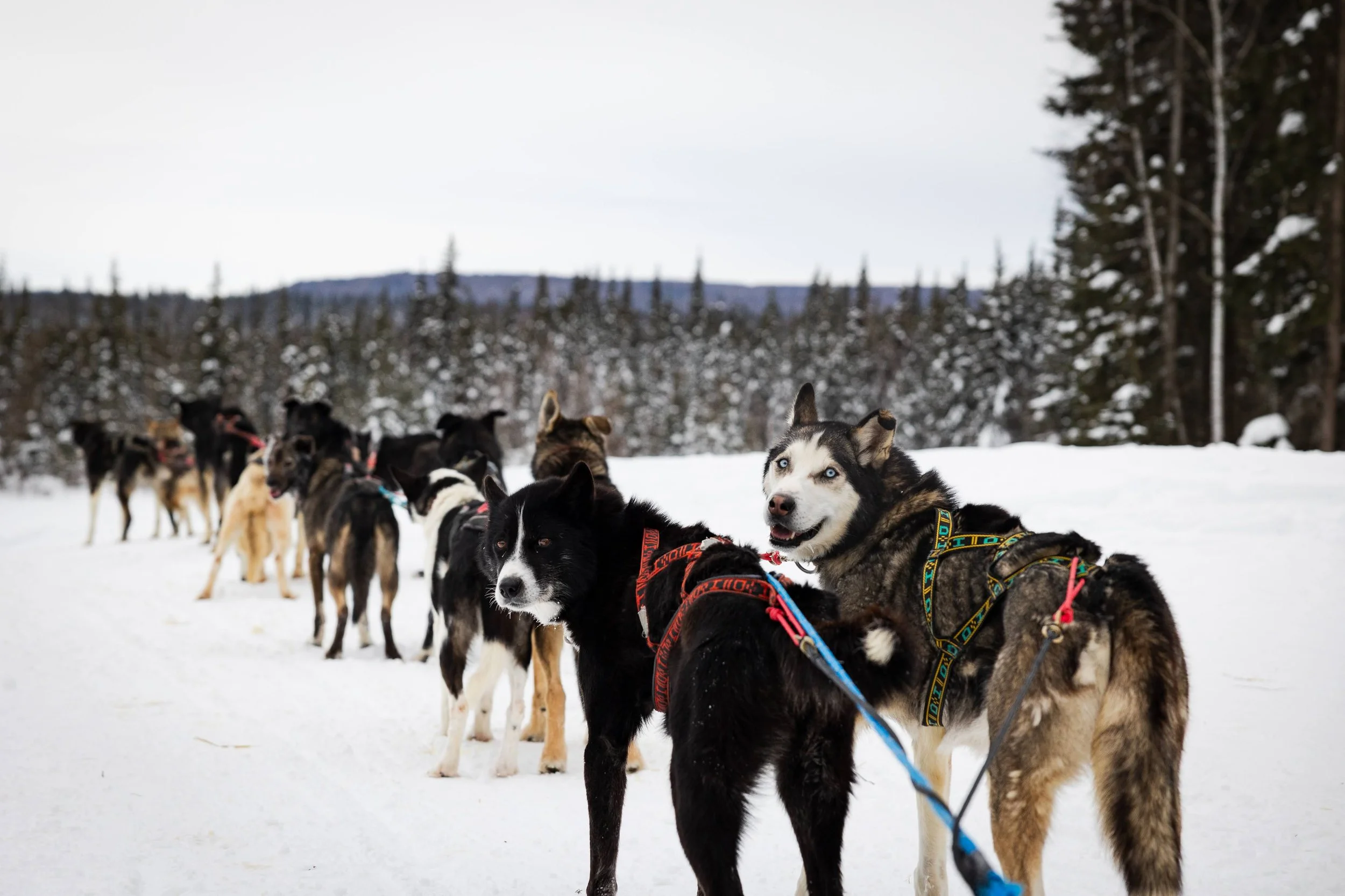Alaska-55.jpg