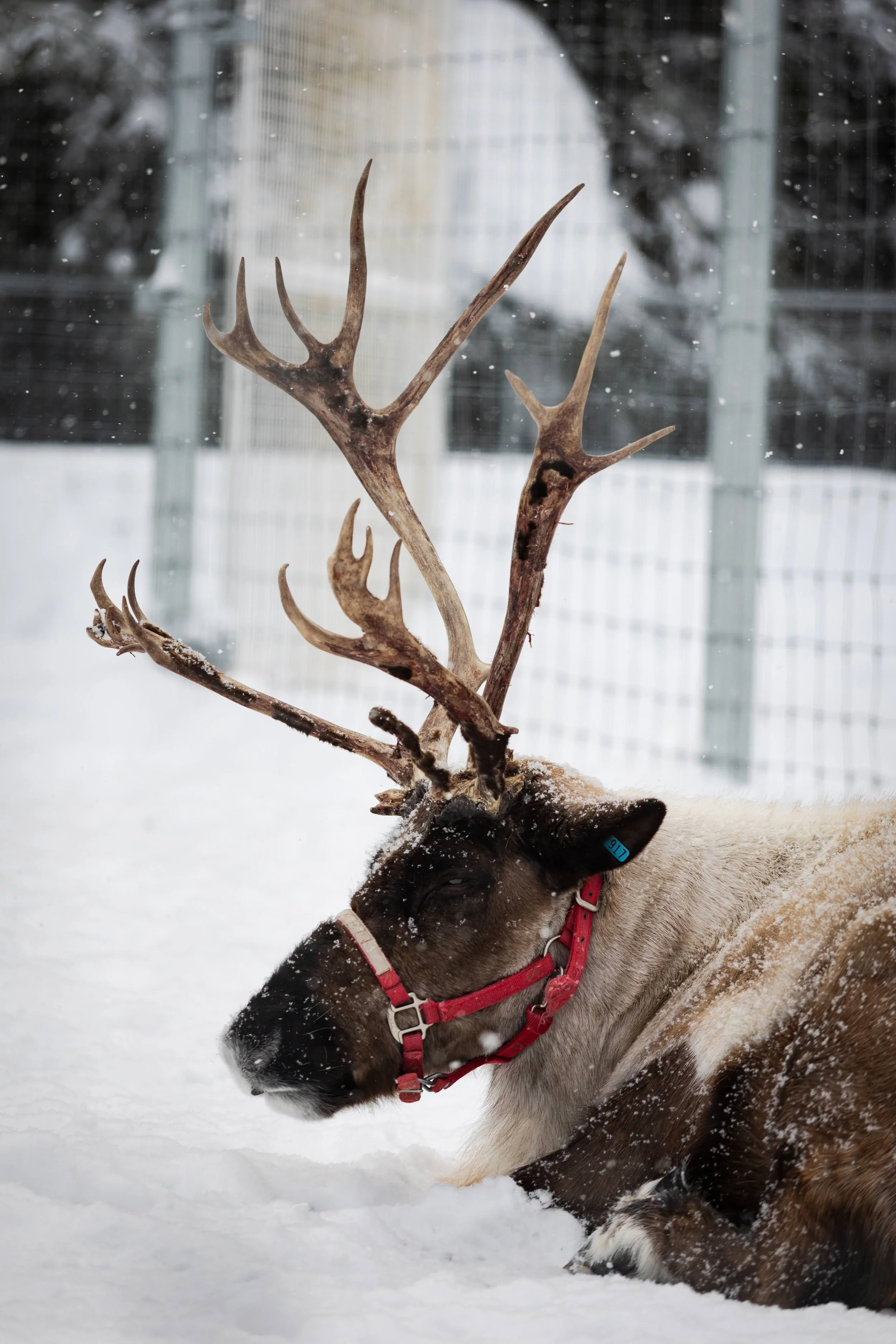 Alaska-107.jpg