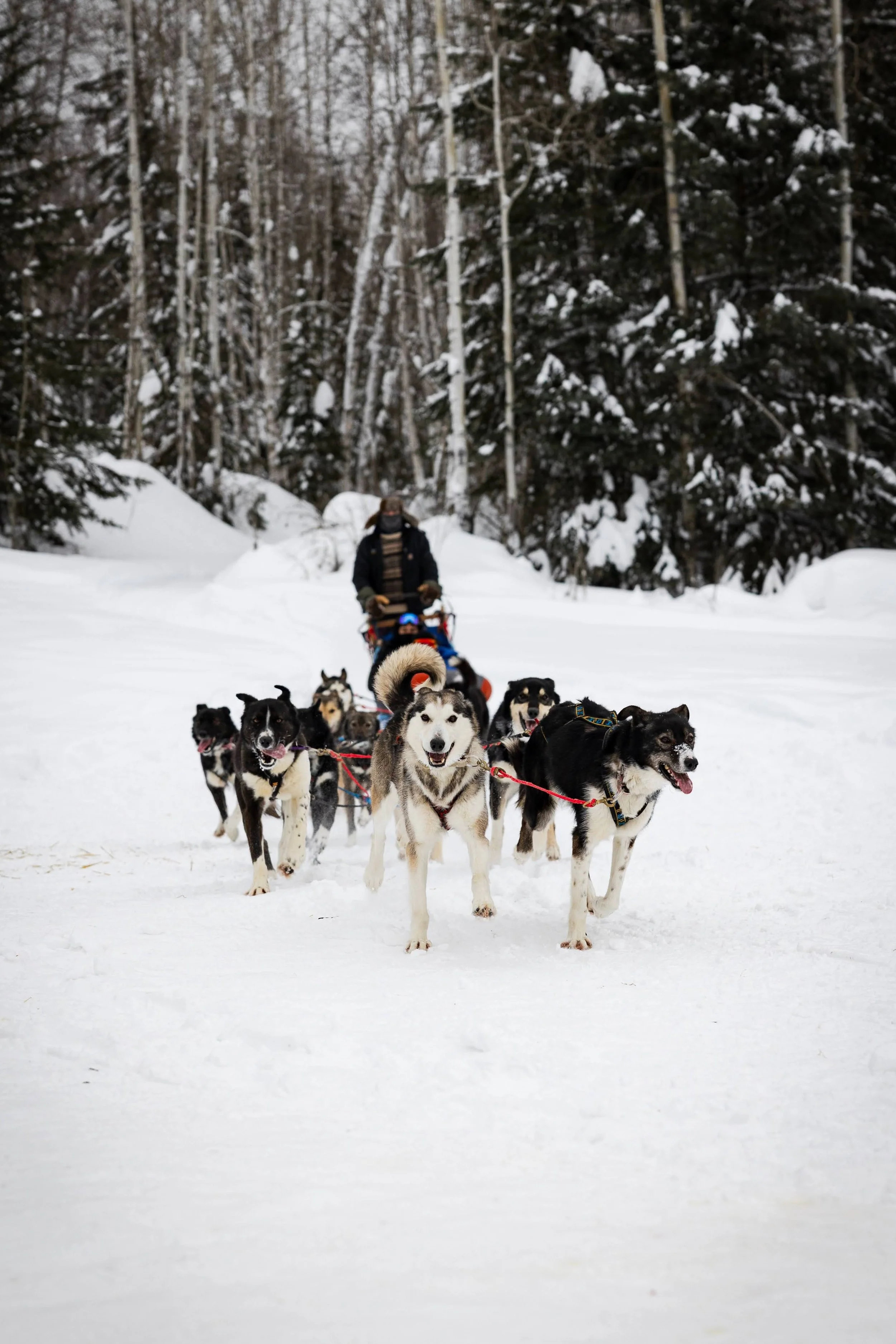Alaska-50.jpg