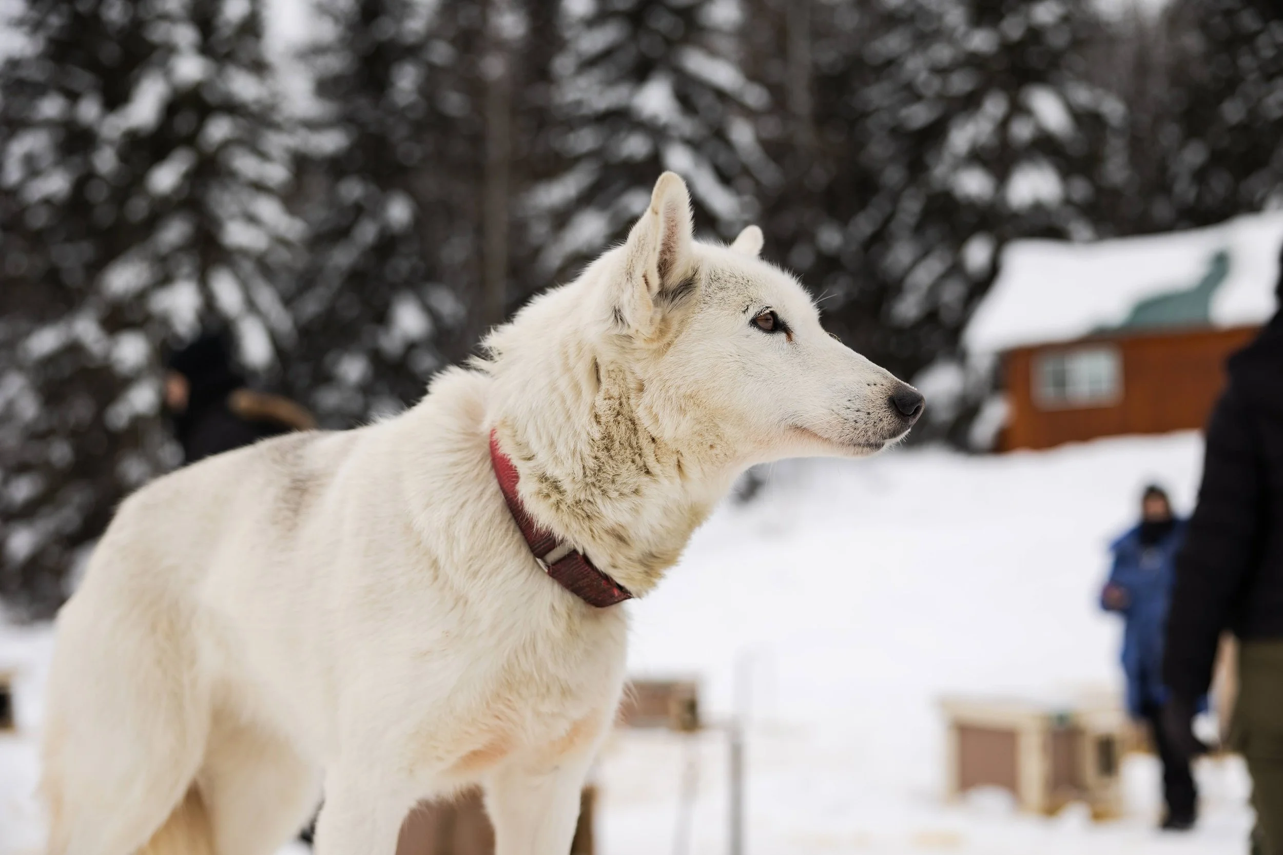 Alaska-25.jpg
