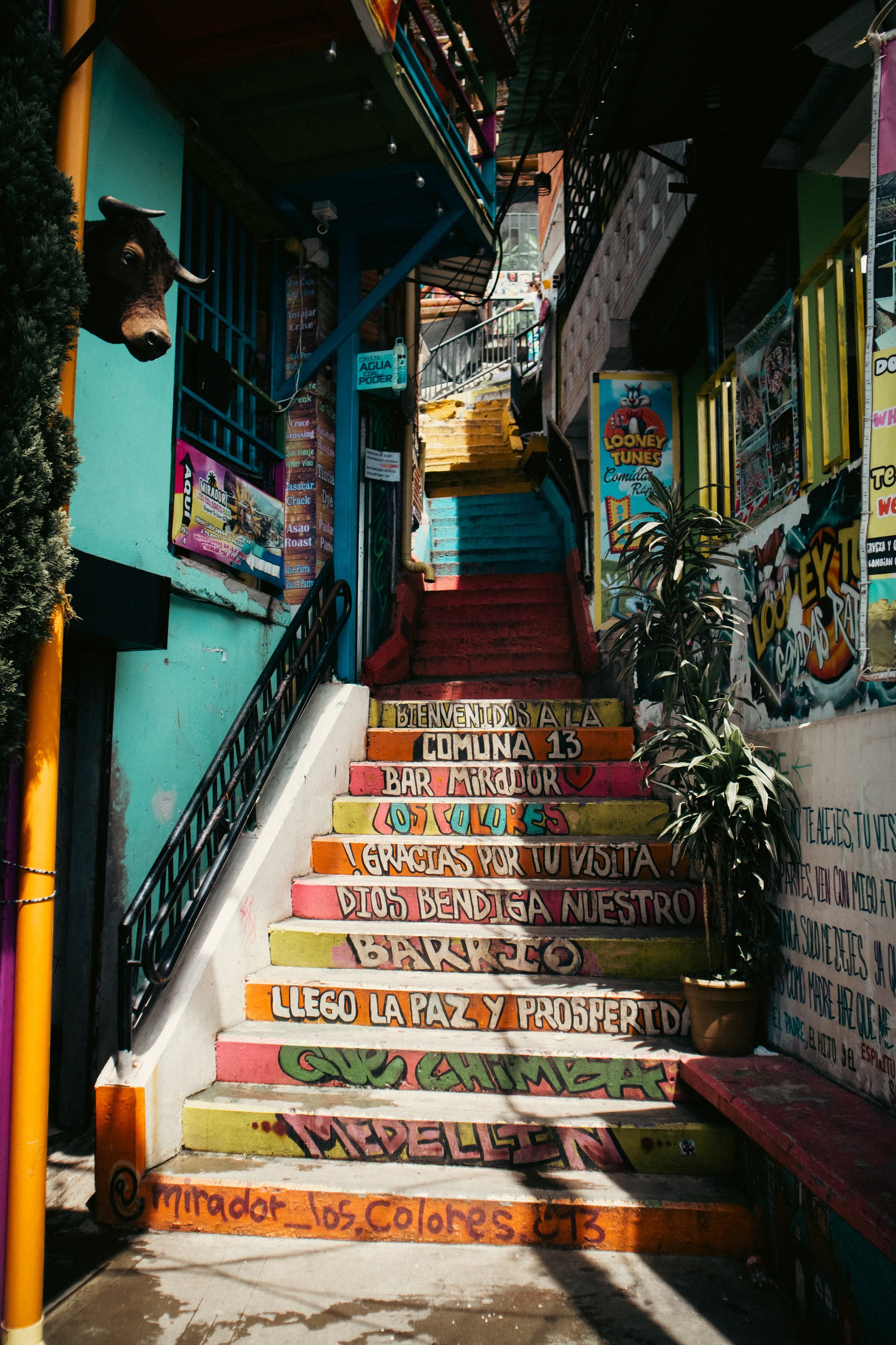 Colombia 2025-35.jpg