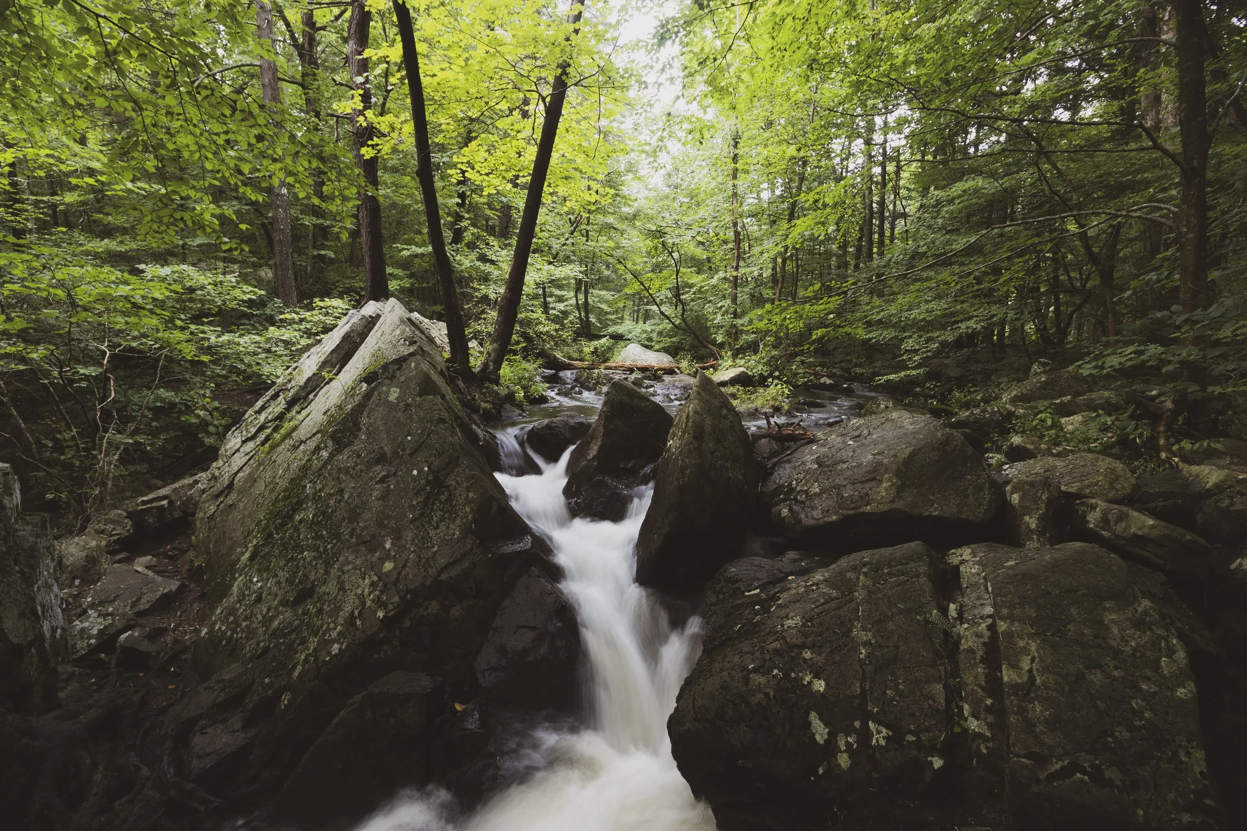 _MG_1087.jpg