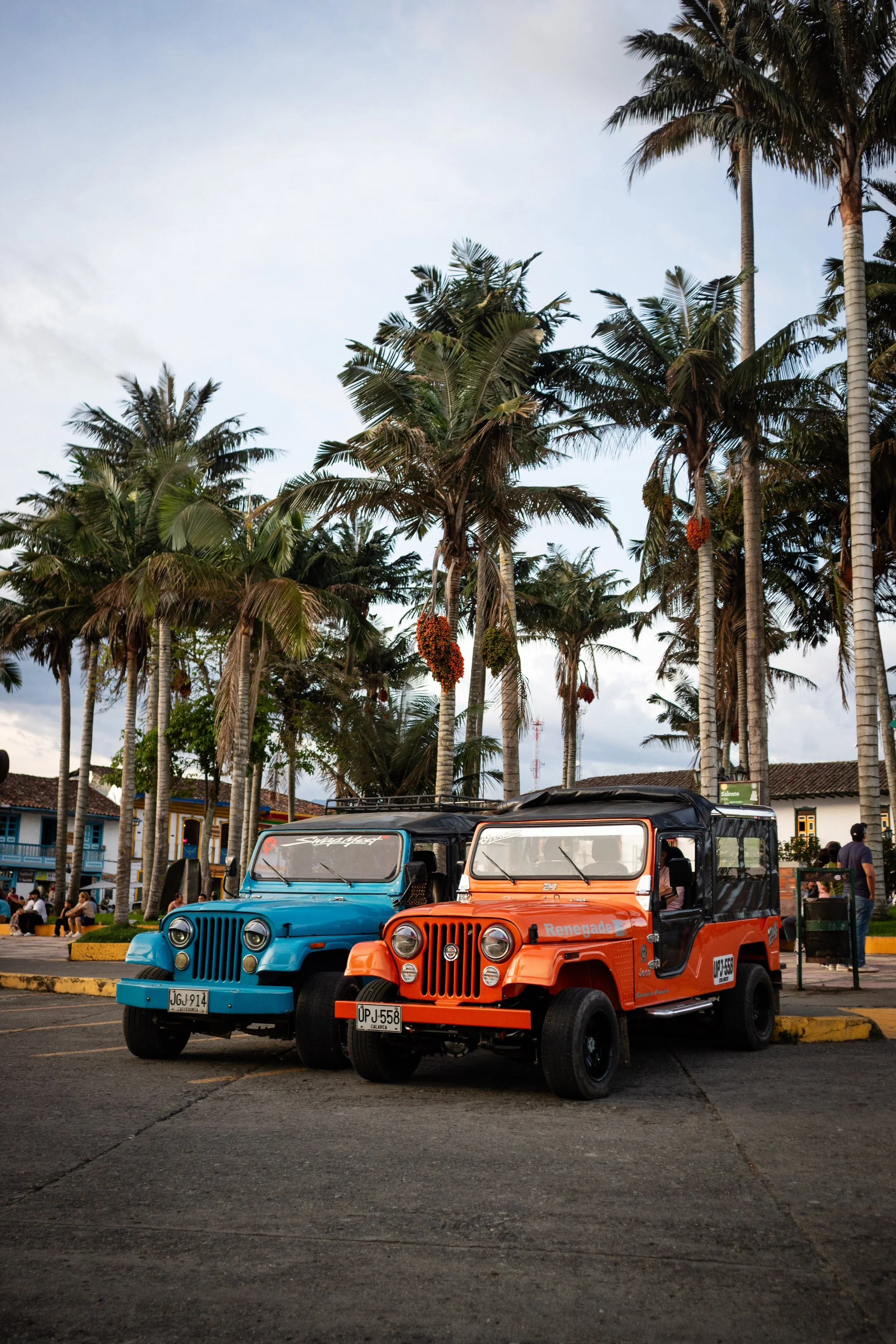 Colombia 2025-62.jpg