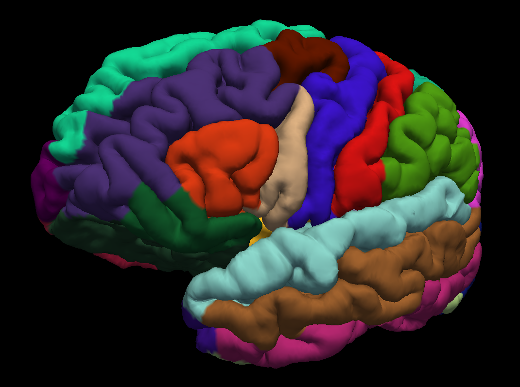 3D cortical surface model depicting anatomical parcellations for analyzing fMRI data 