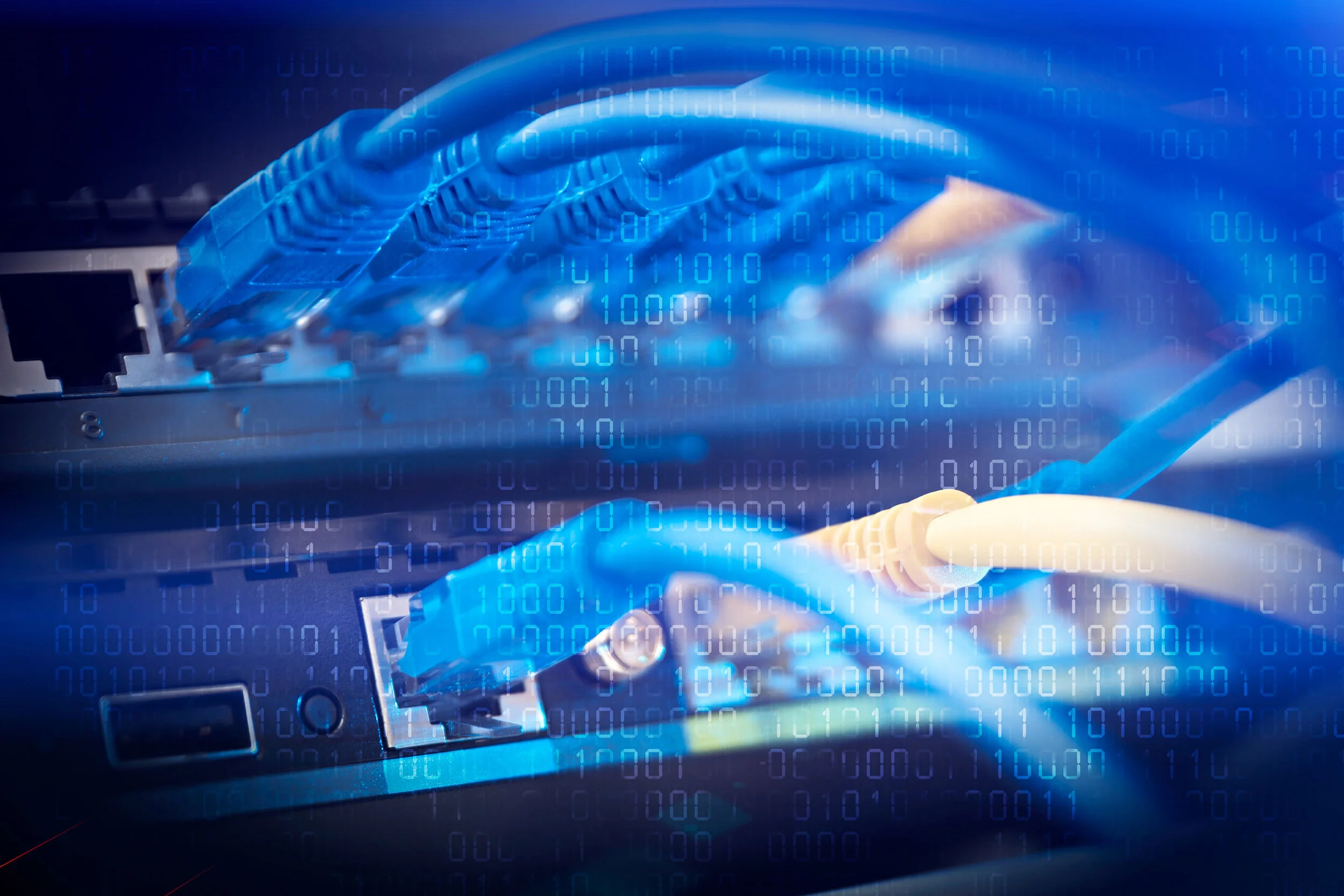 iStock-1131624373_web.jpg