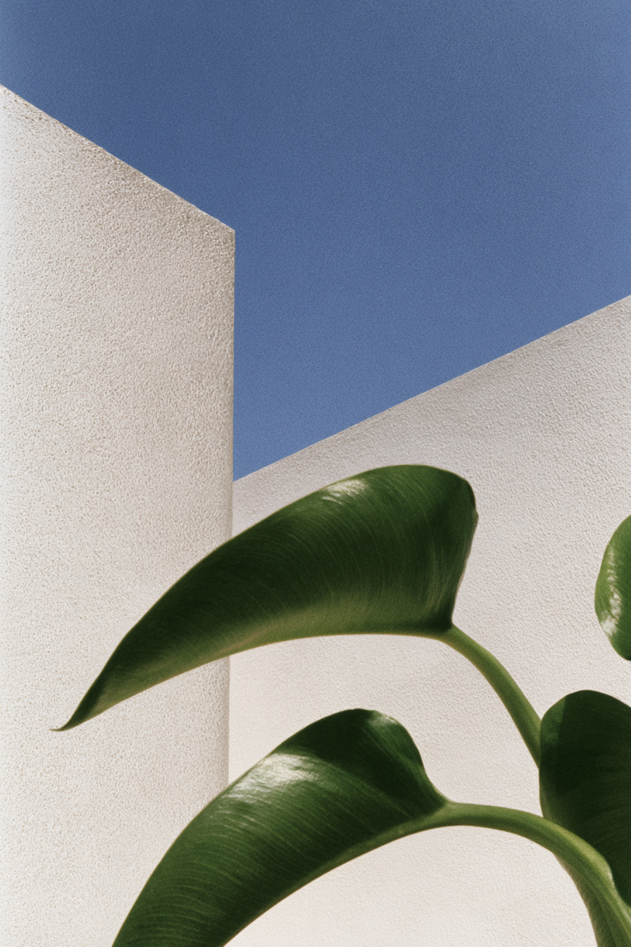 Architecture_Built_from_Nature_--chaos_15_--ar_23_--sref_3002_c94e45d0-0b84-44fb-866b-bec14c3dd79f_2.png