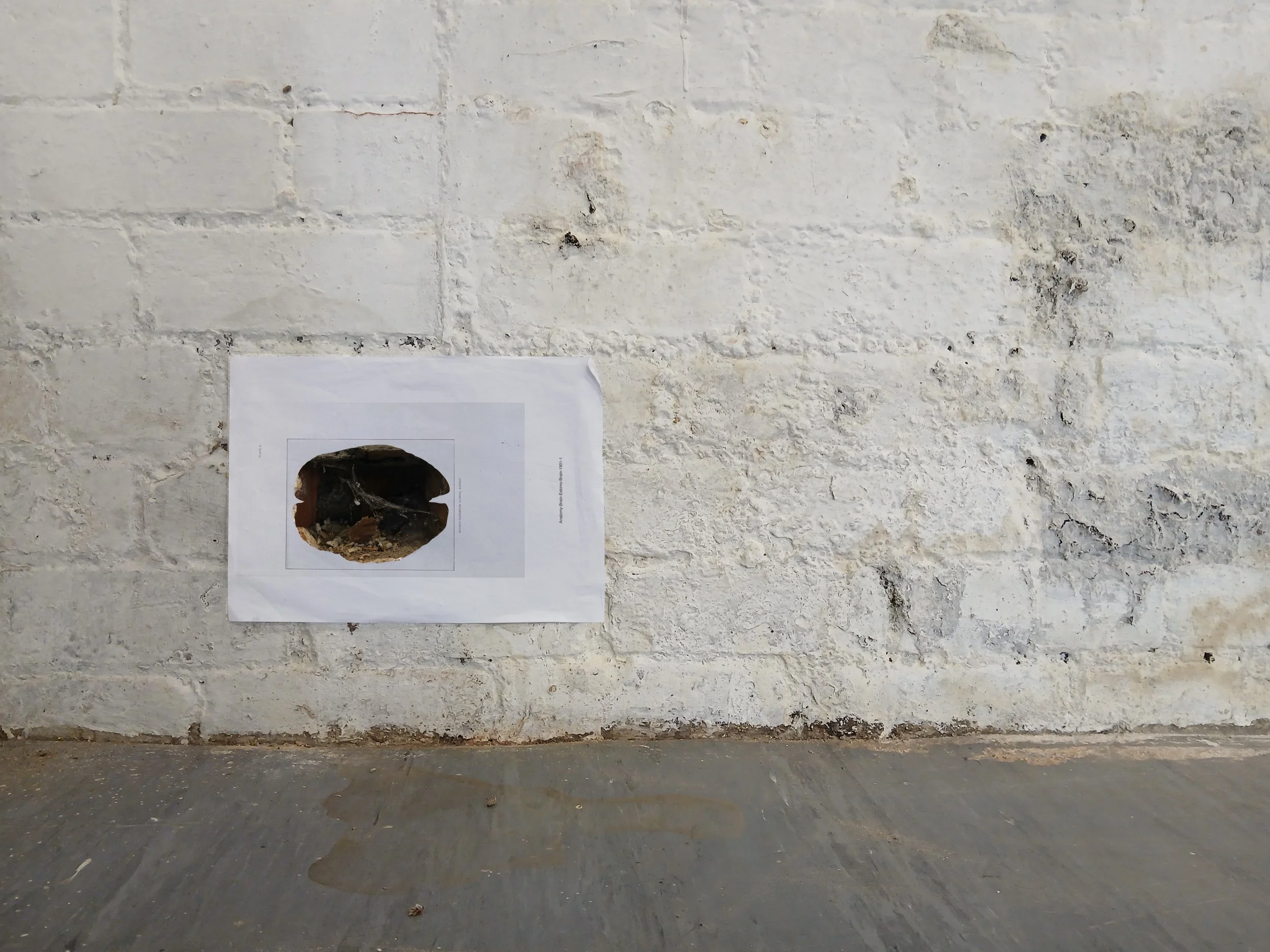 the truancy of vision II - install detail 22.jpg