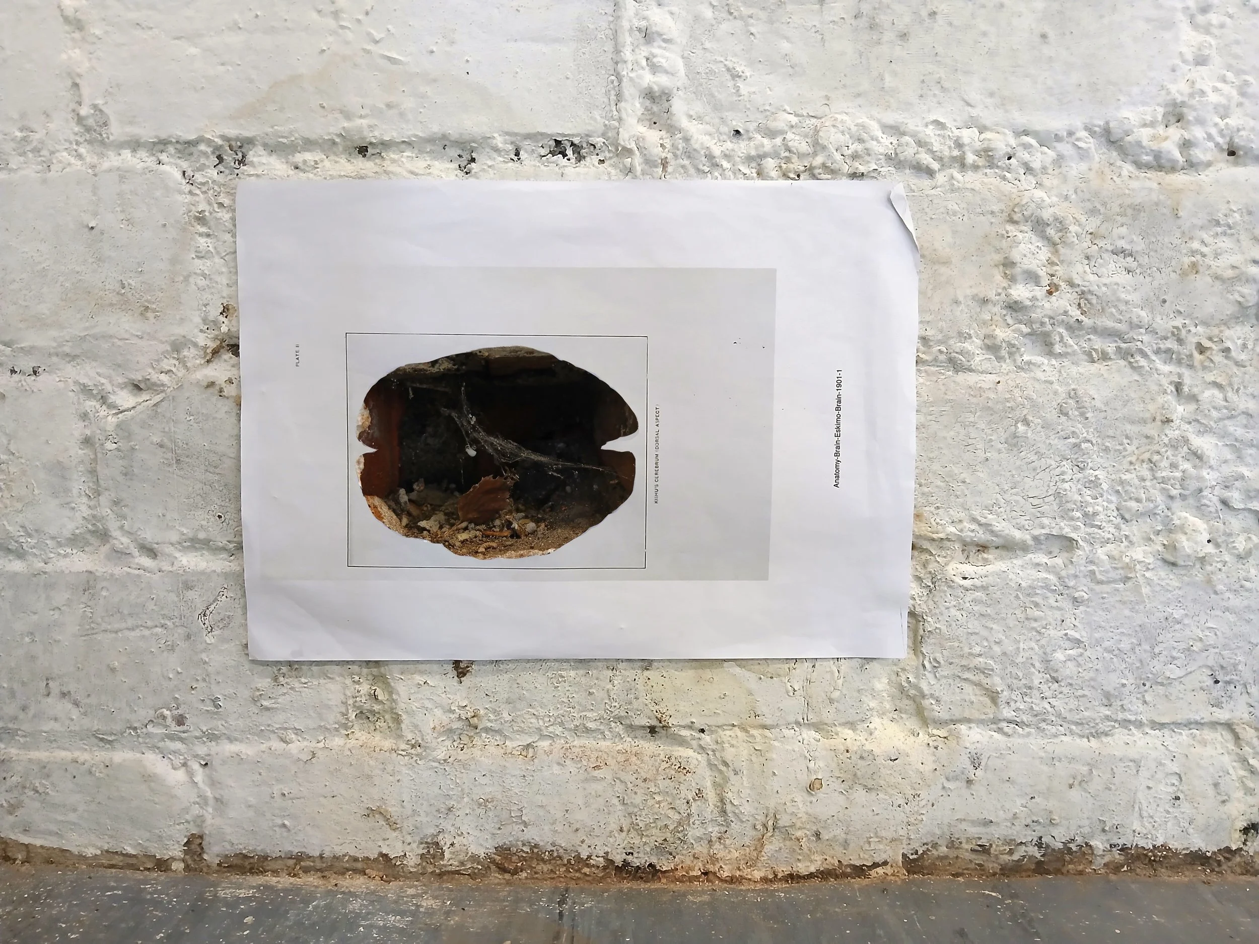 the truancy of vision II - install detail 4- Image Credit - Benjamin Nuttall-61.jpg