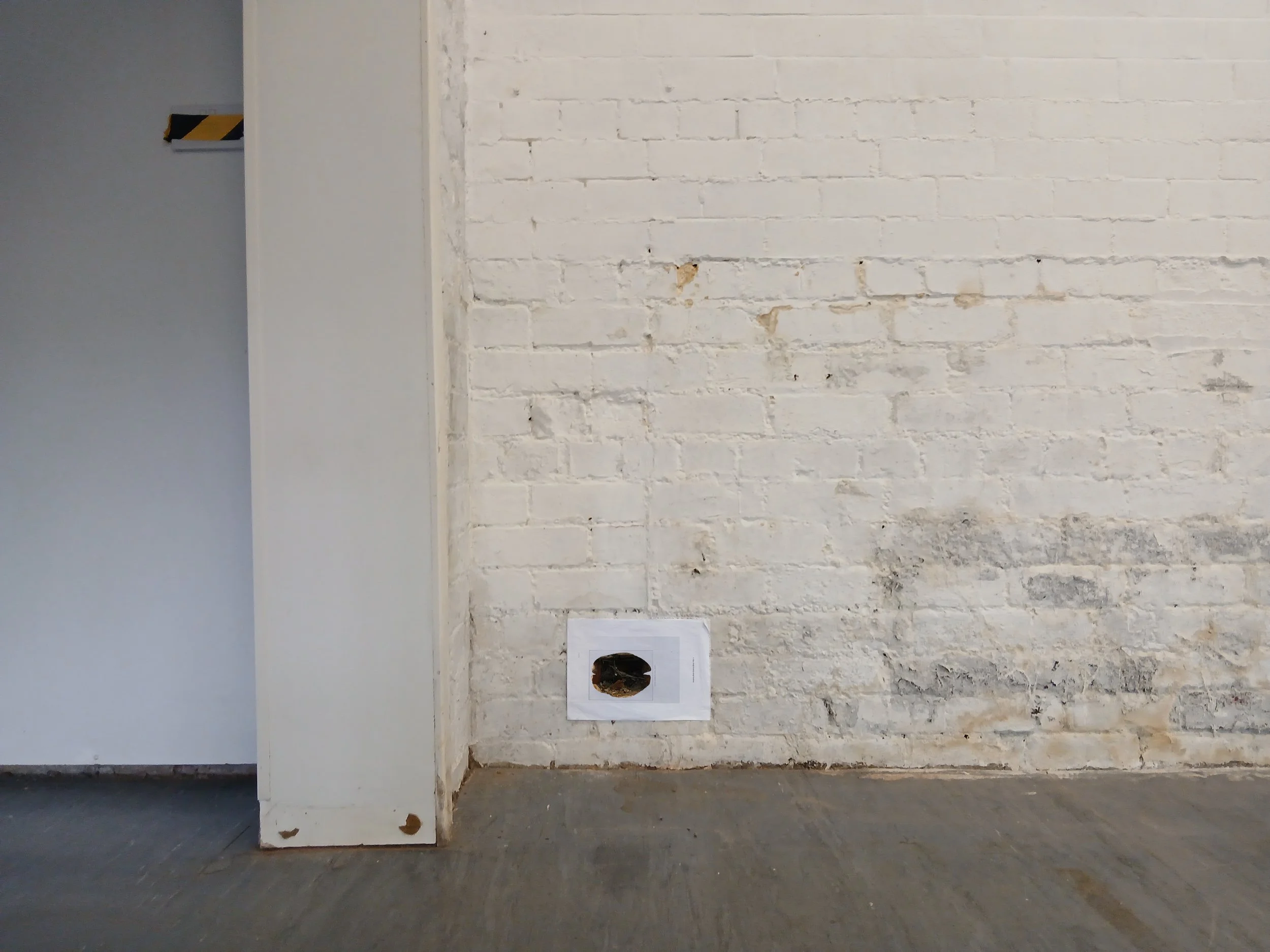 the truancy of vision II - install detail 1.jpg