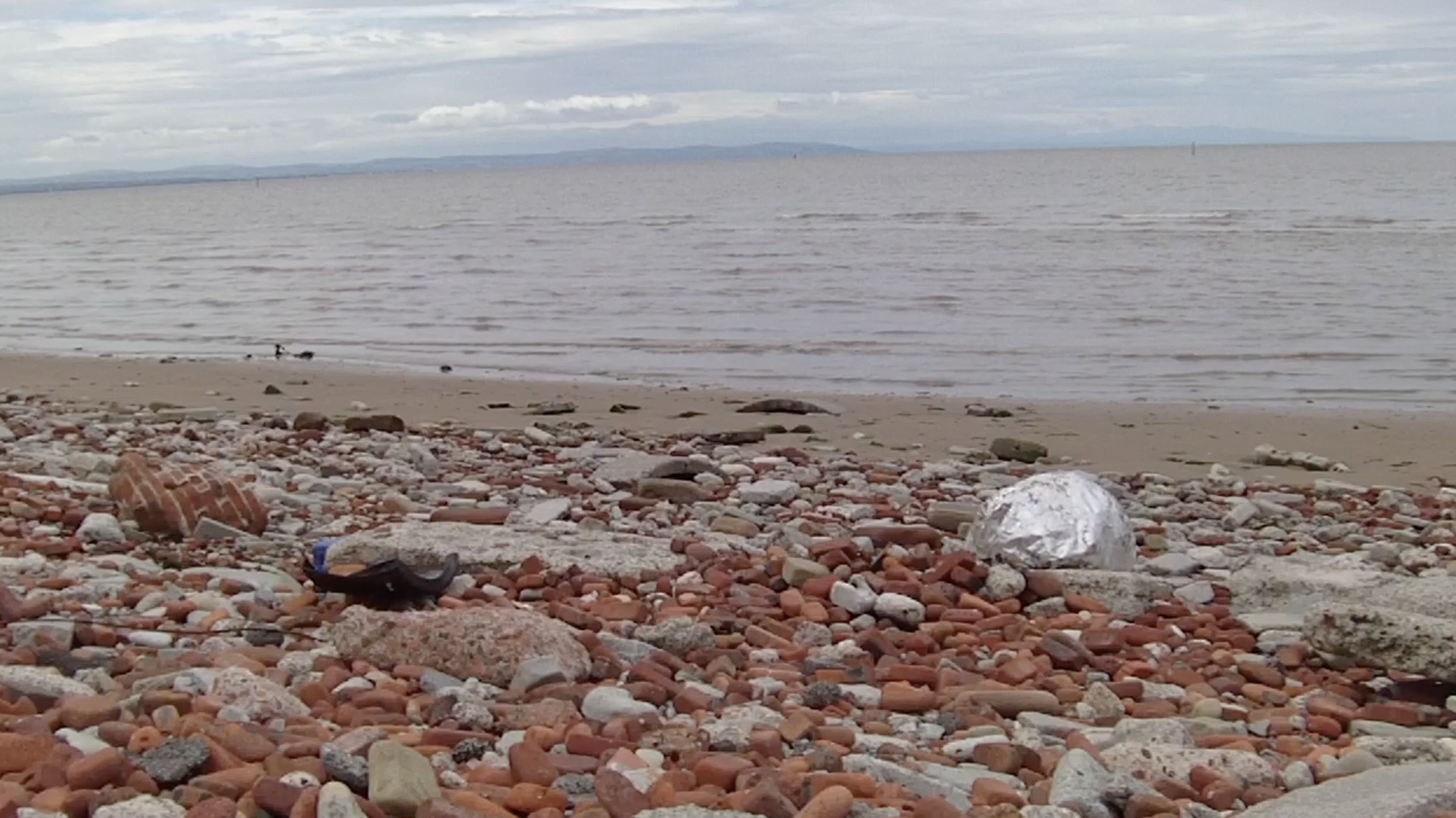 Screenshot 2021-08-15 at 11.32.44.png