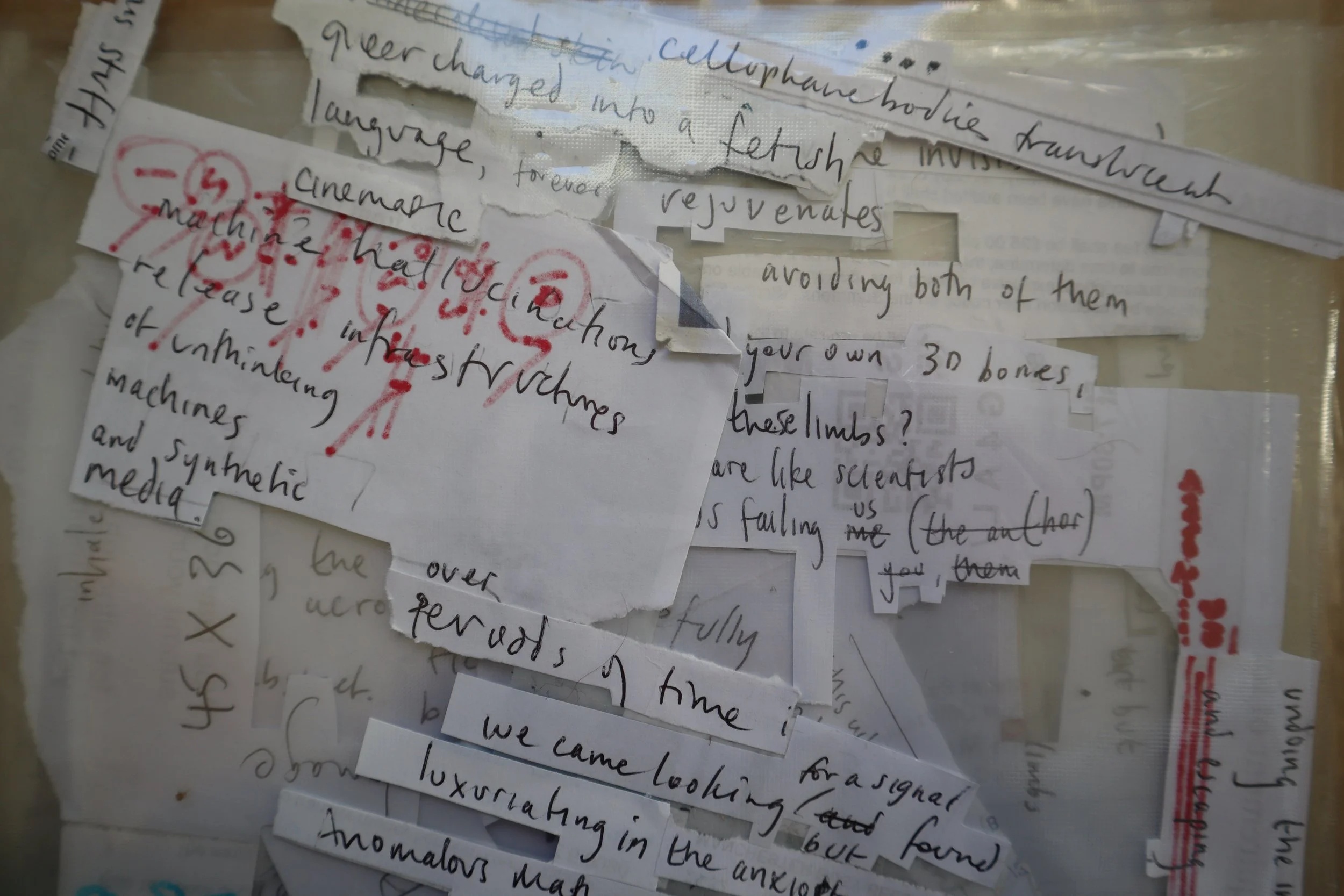 3. cos-ahmet-absorbing pathogens, asking the dust.JPG