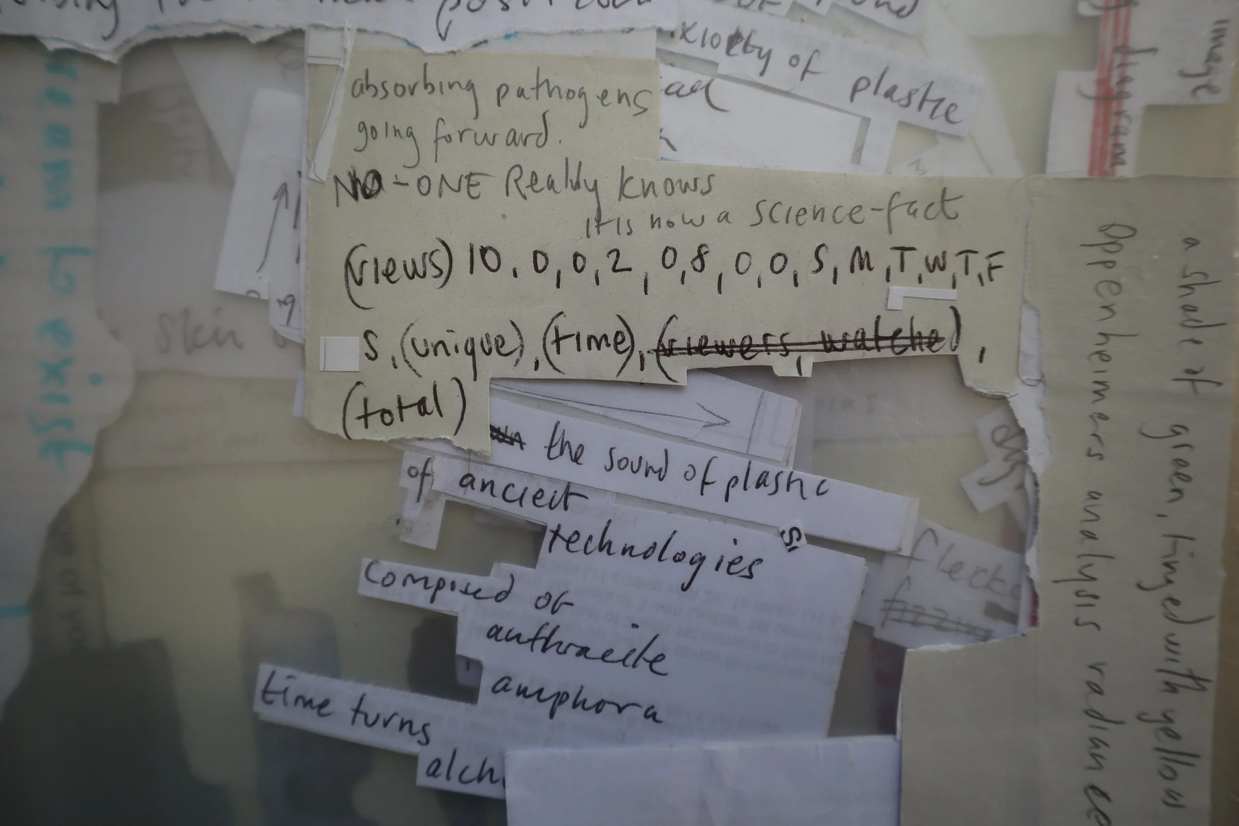 4. cos-ahmet-absorbing pathogens, asking the dust.JPG