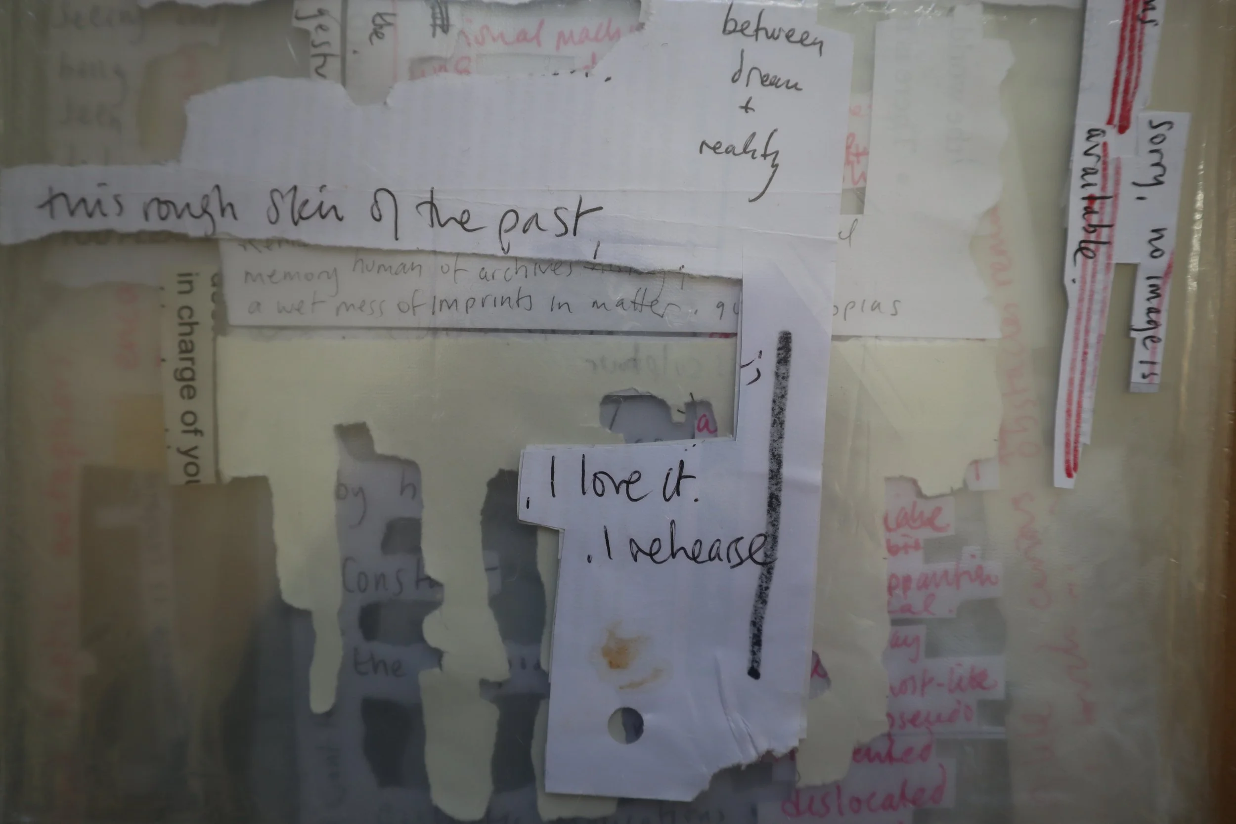 5. cos-ahmet-absorbing pathogens, asking the dust.JPG