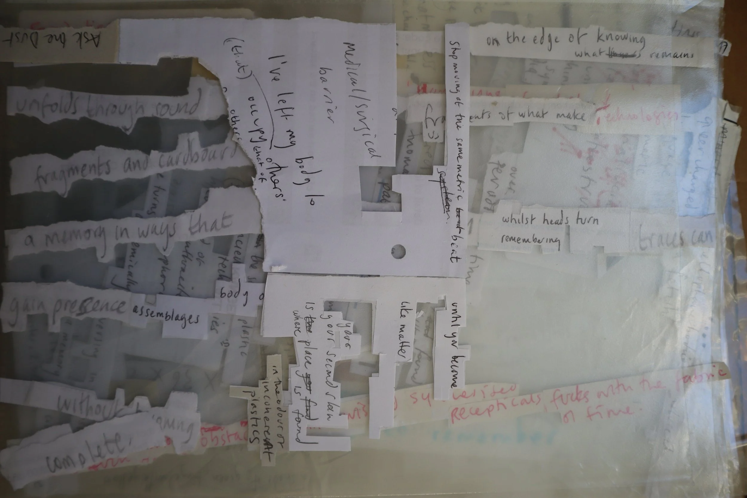 7. cos-ahmet-absorbing pathogens, asking the dust.JPG