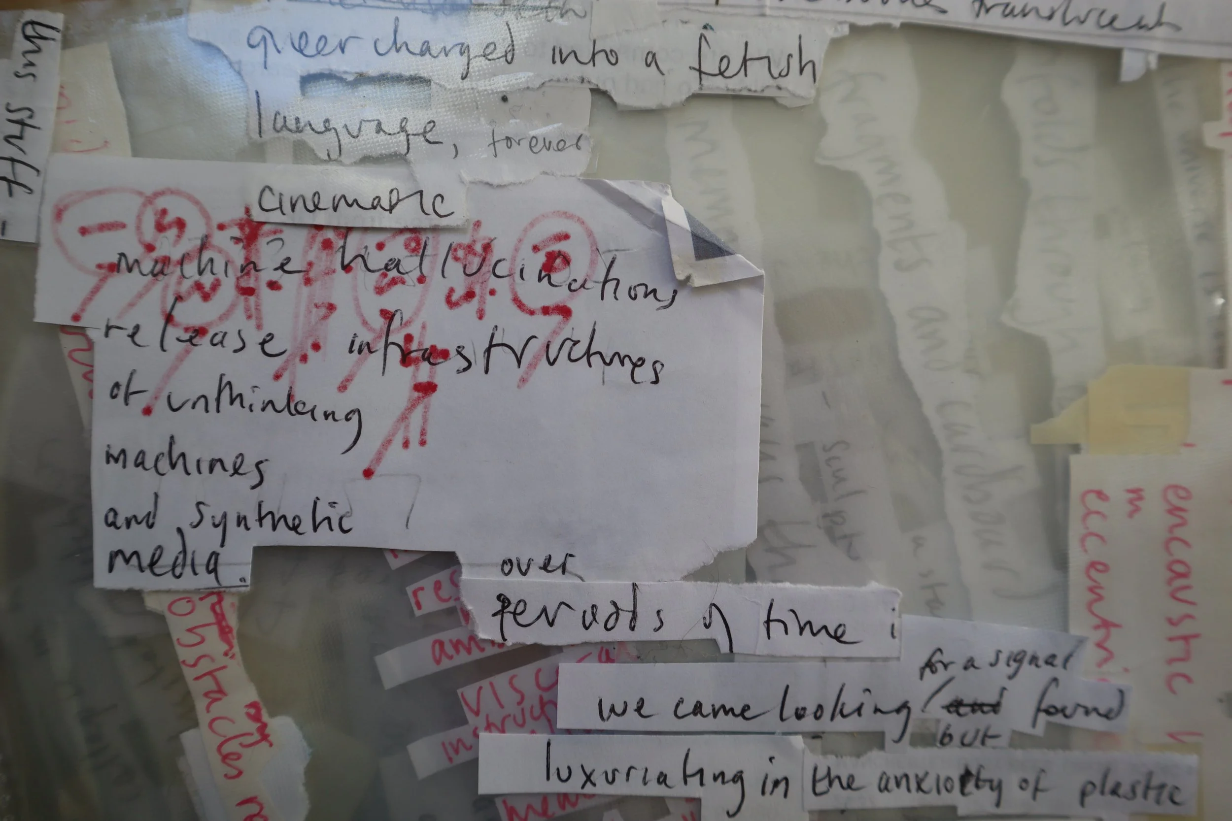 11. cos-ahmet-absorbing pathogens, asking the dust.JPG