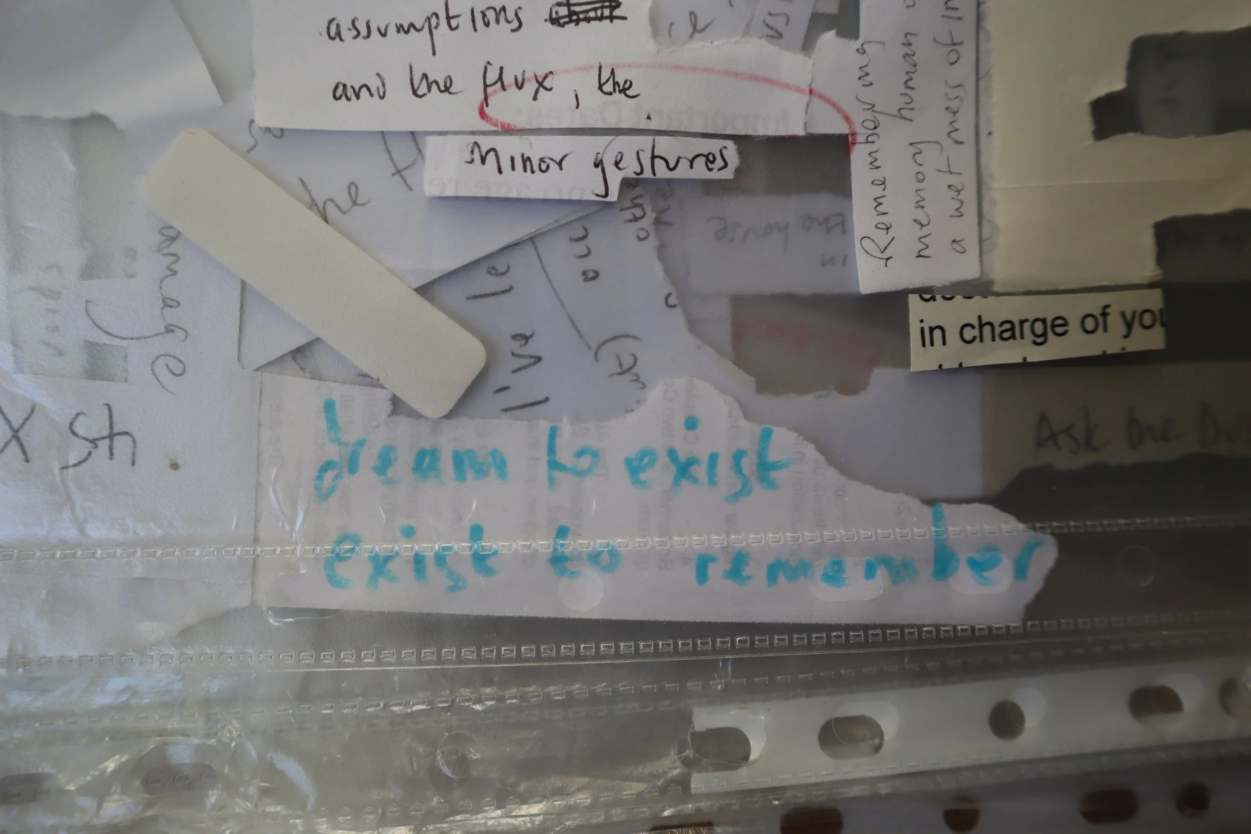 12. cos-ahmet-absorbing pathogens, asking the dust.JPG