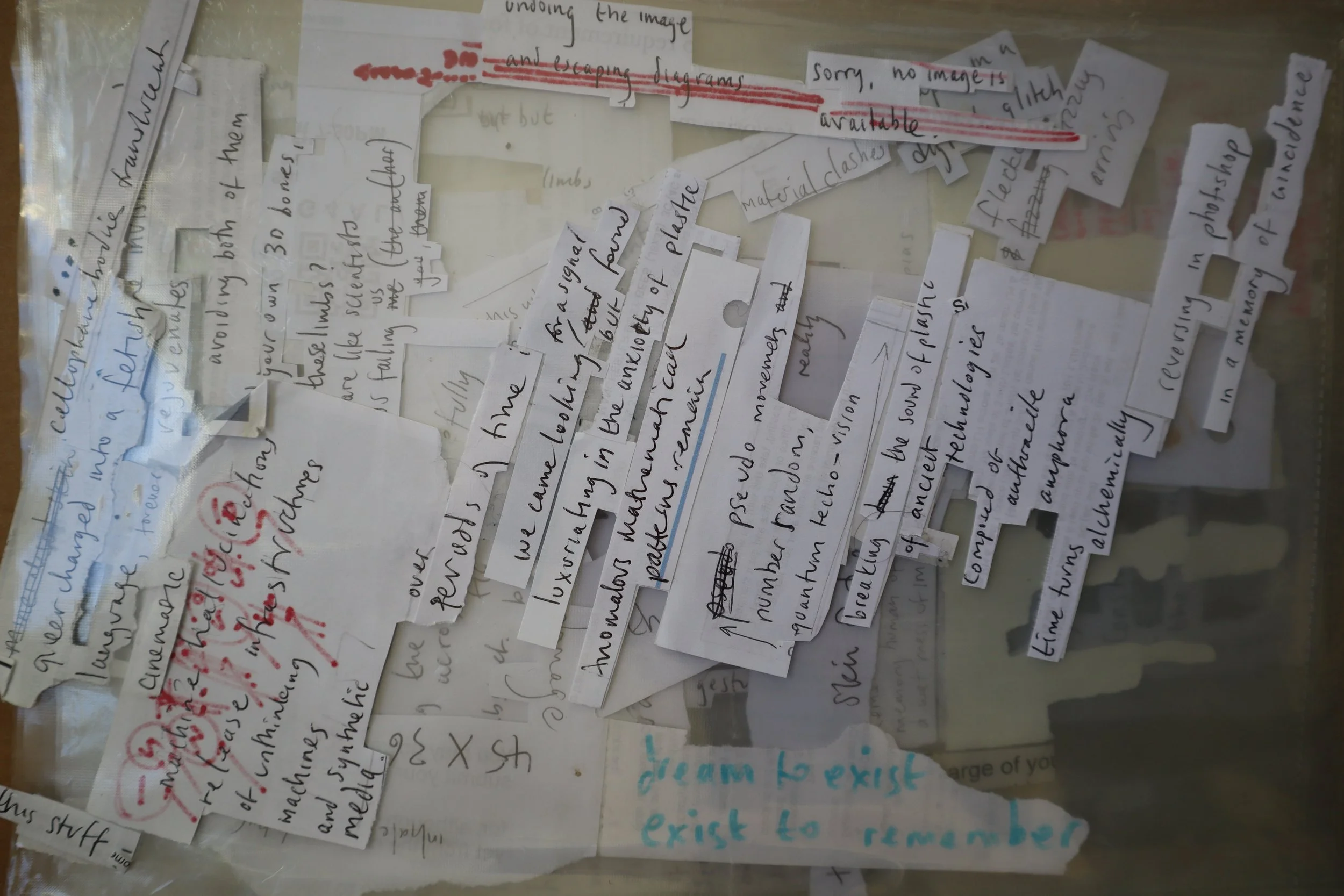 9. cos-ahmet-absorbing pathogens, asking the dust.JPG