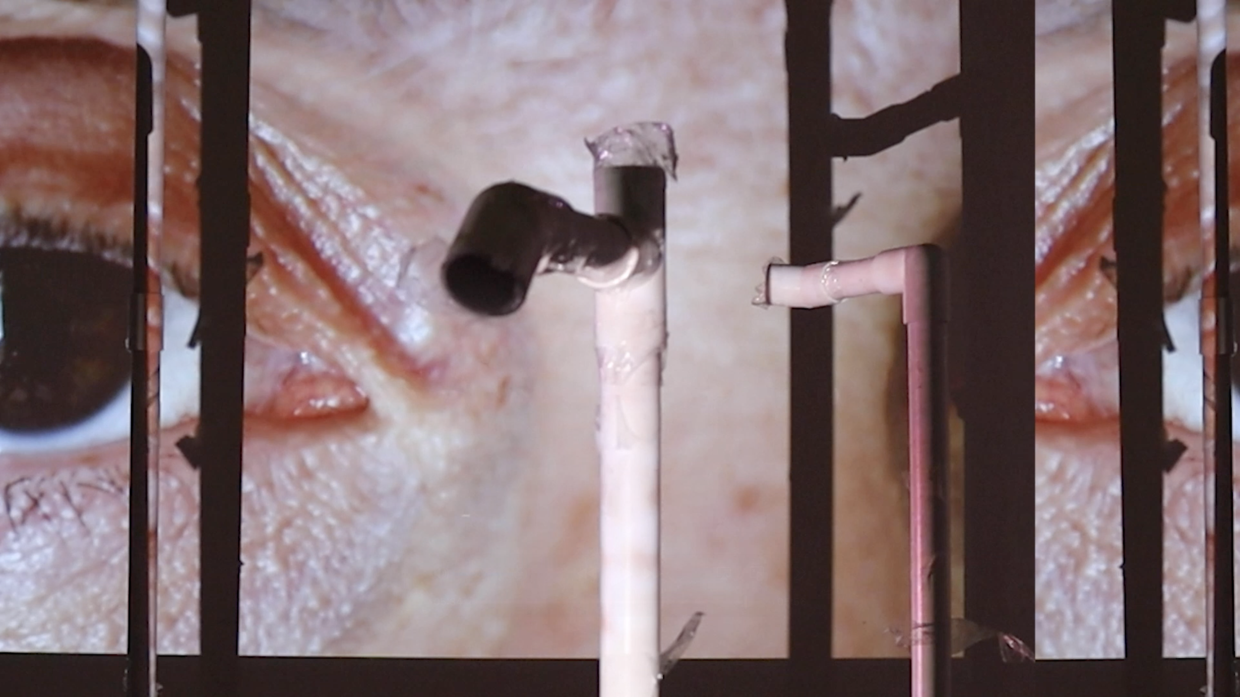 at the moment of an apparition (gober's eyes) - still 3.png