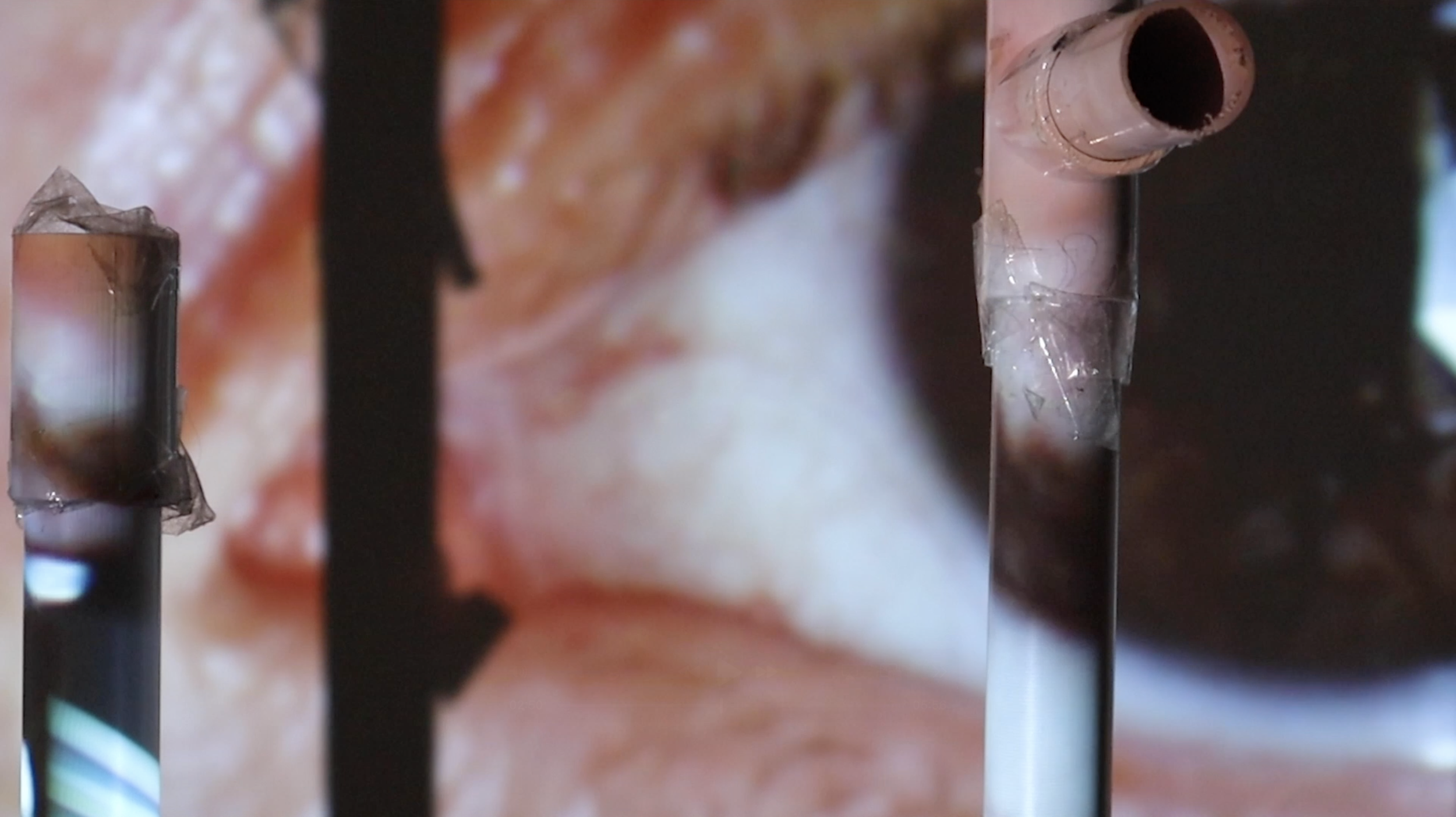 at the moment of an apparition (gober's eyes) - still 6.png