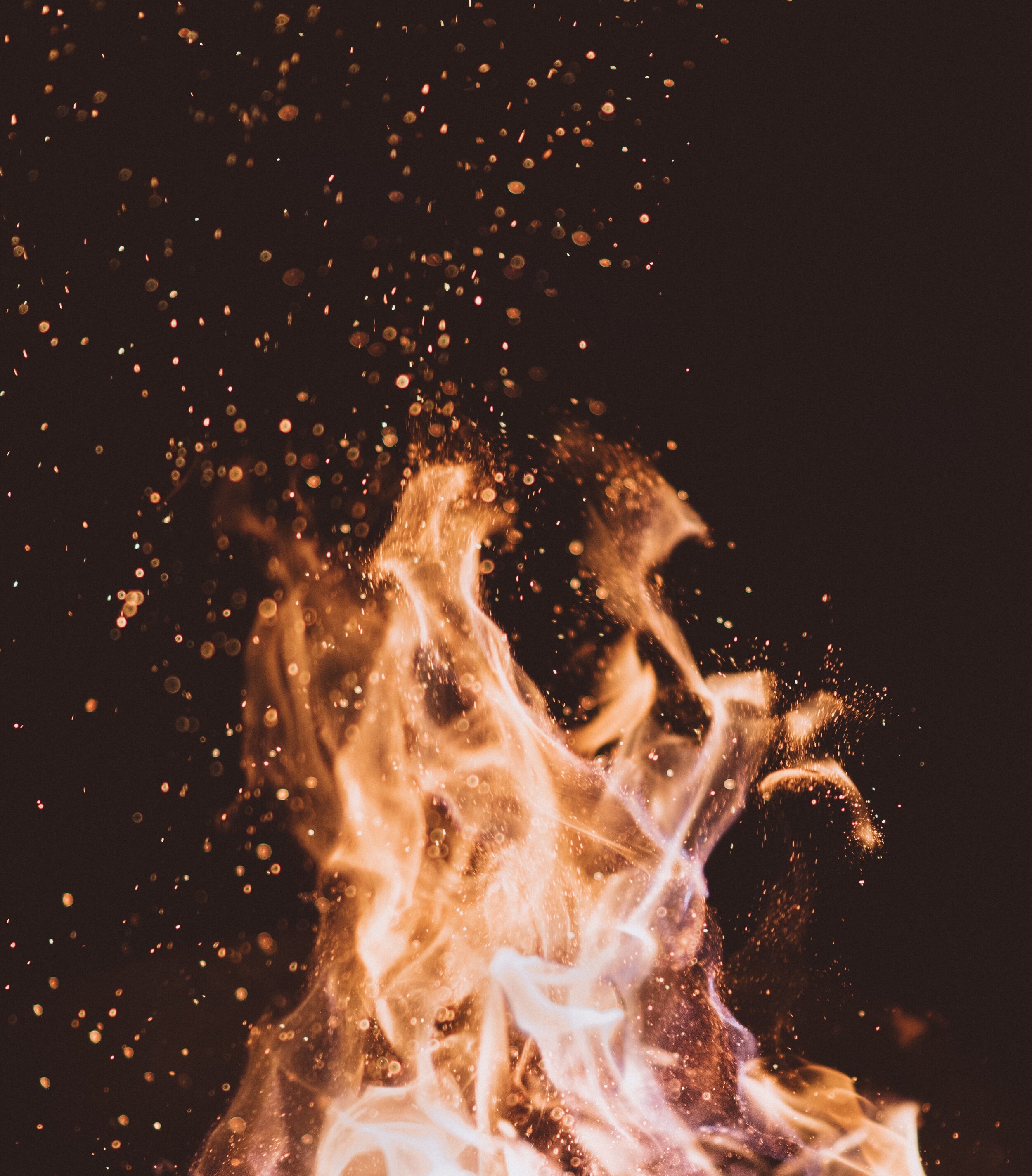 Embodied Womb Journey