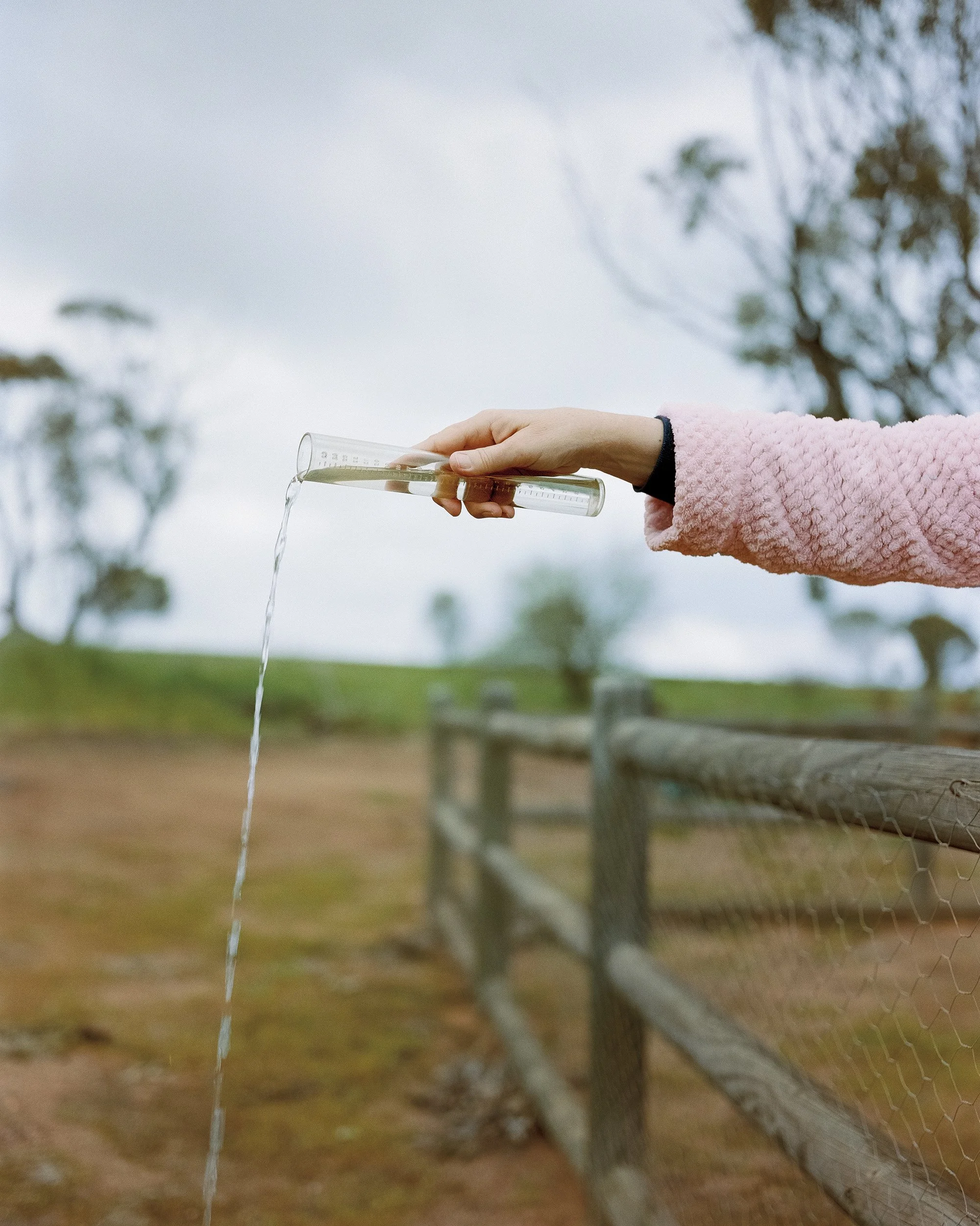 Mary and the Lamb #9