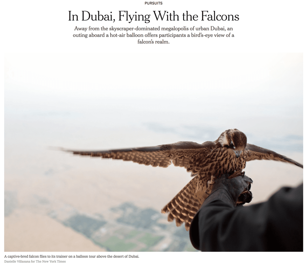 The New York Times | Jan. 17, 2018