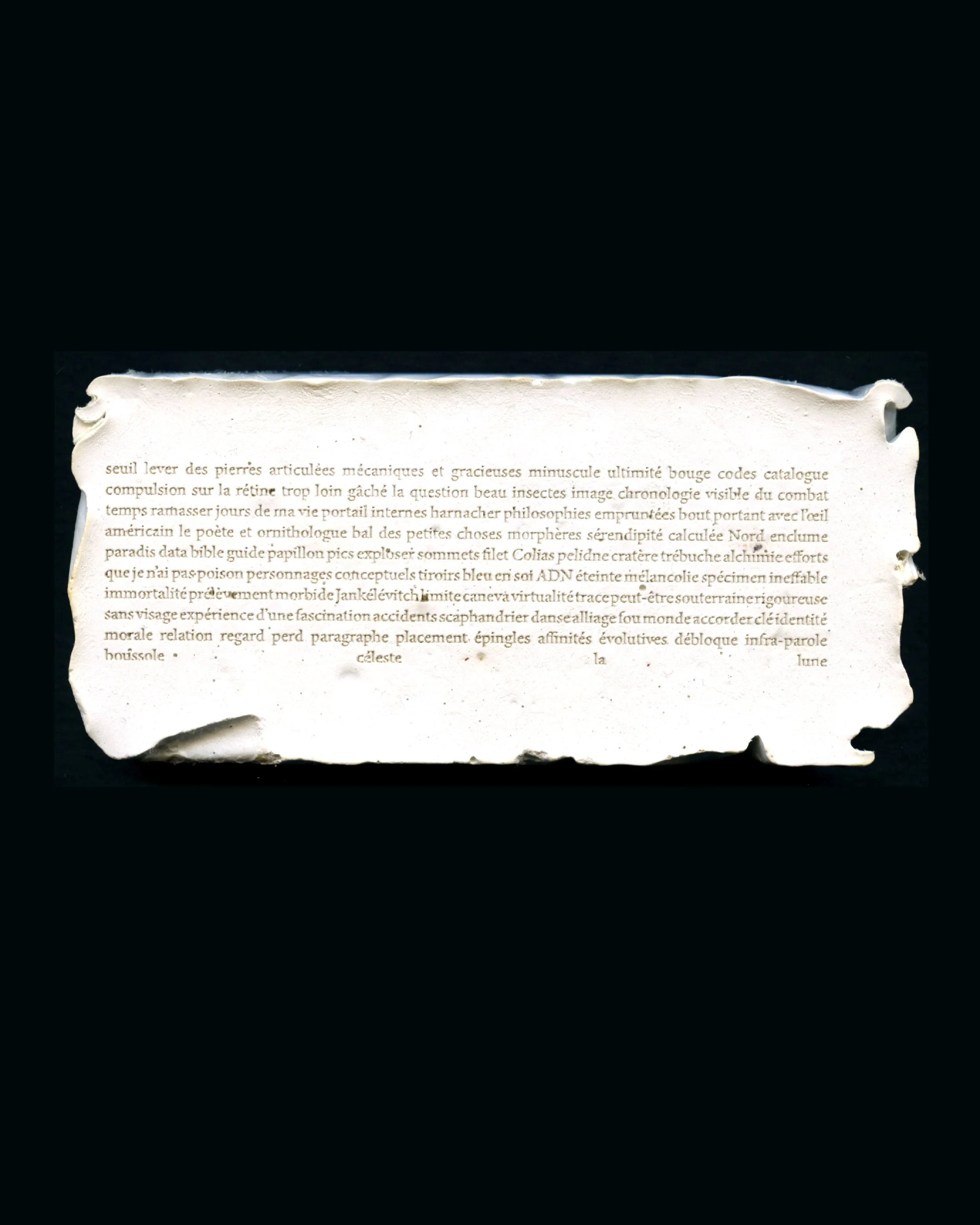 2026_MFA Online Profile_PrunePaycha7.jpg