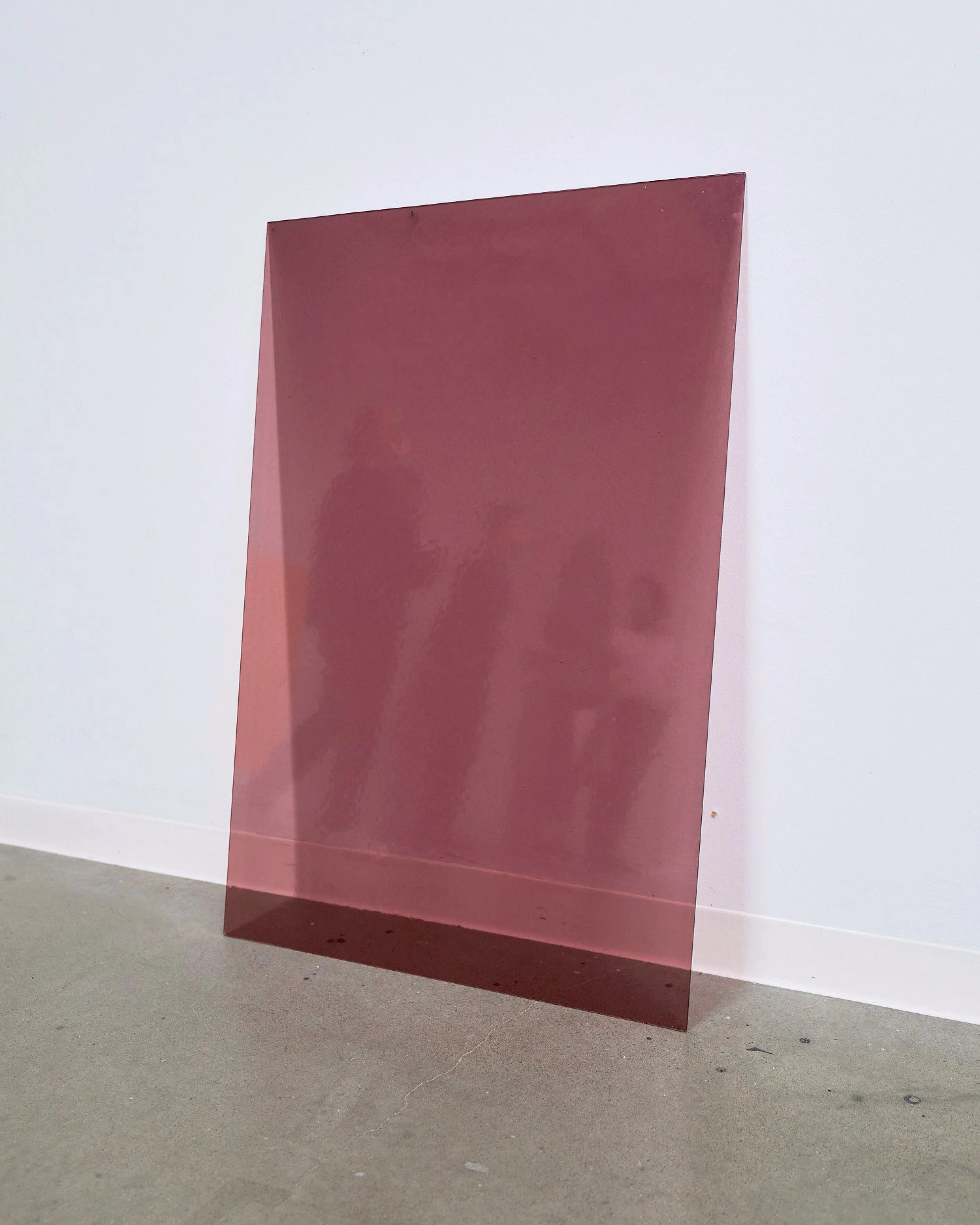 2026_MFA Online Profile_PrunePaycha8.jpg