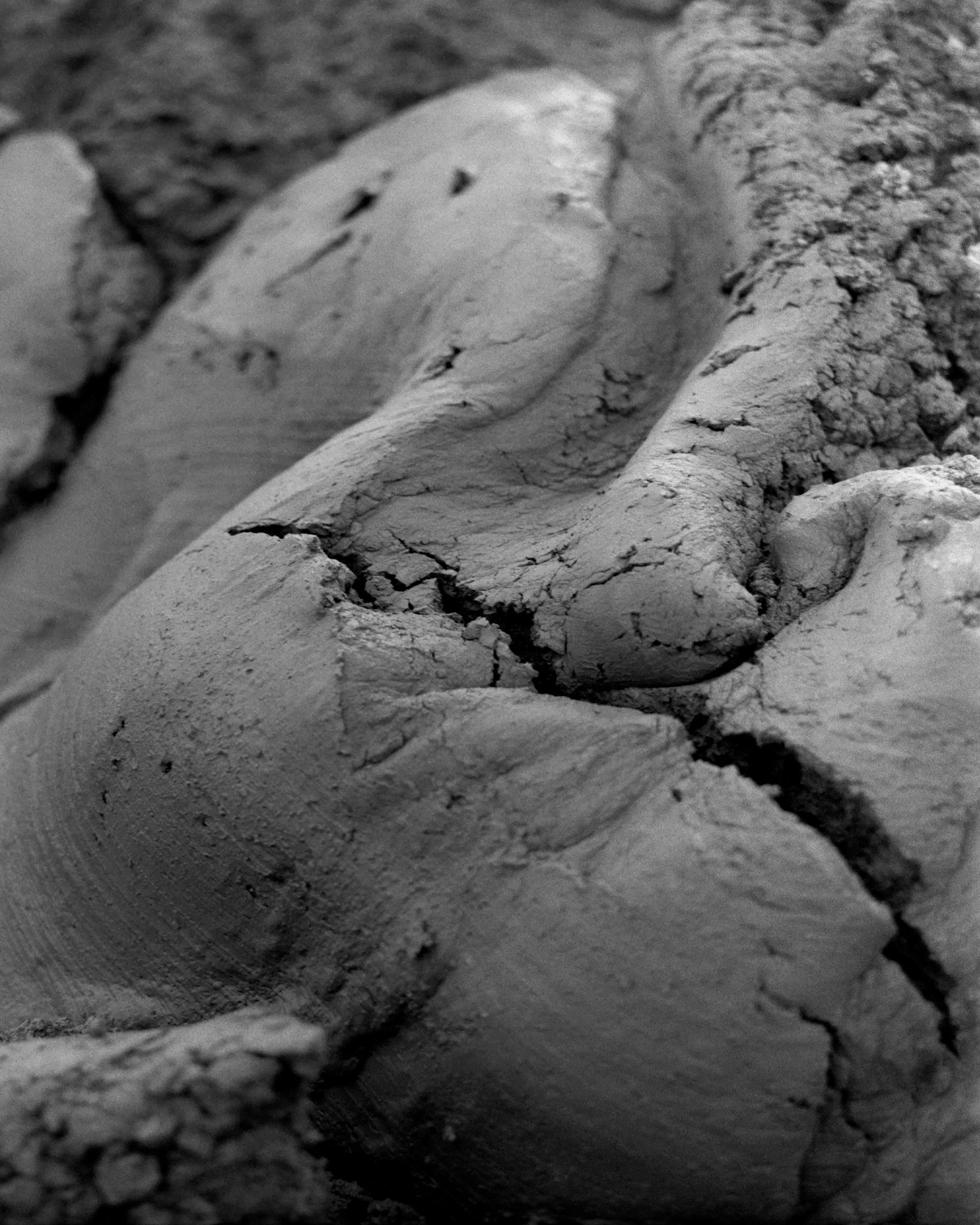 2026_MFA Online Profile_PrunePaycha9.jpg