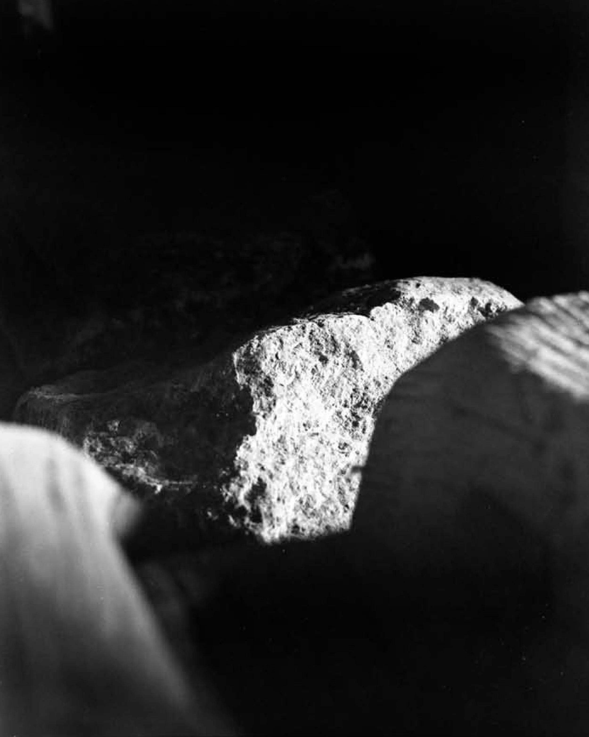 2026_MFA Online Profile_PrunePaycha11.jpg