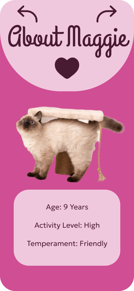 Catland Thirteen.png