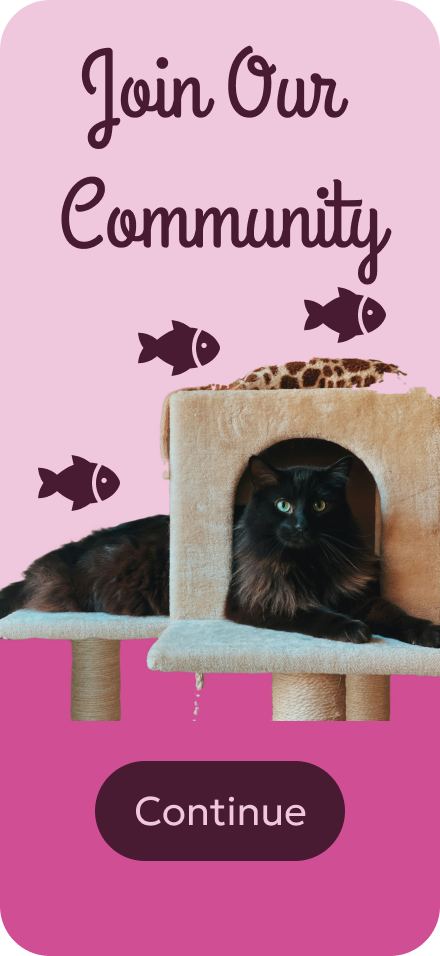 Catland Three.png