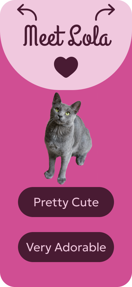 Catland Ten.png