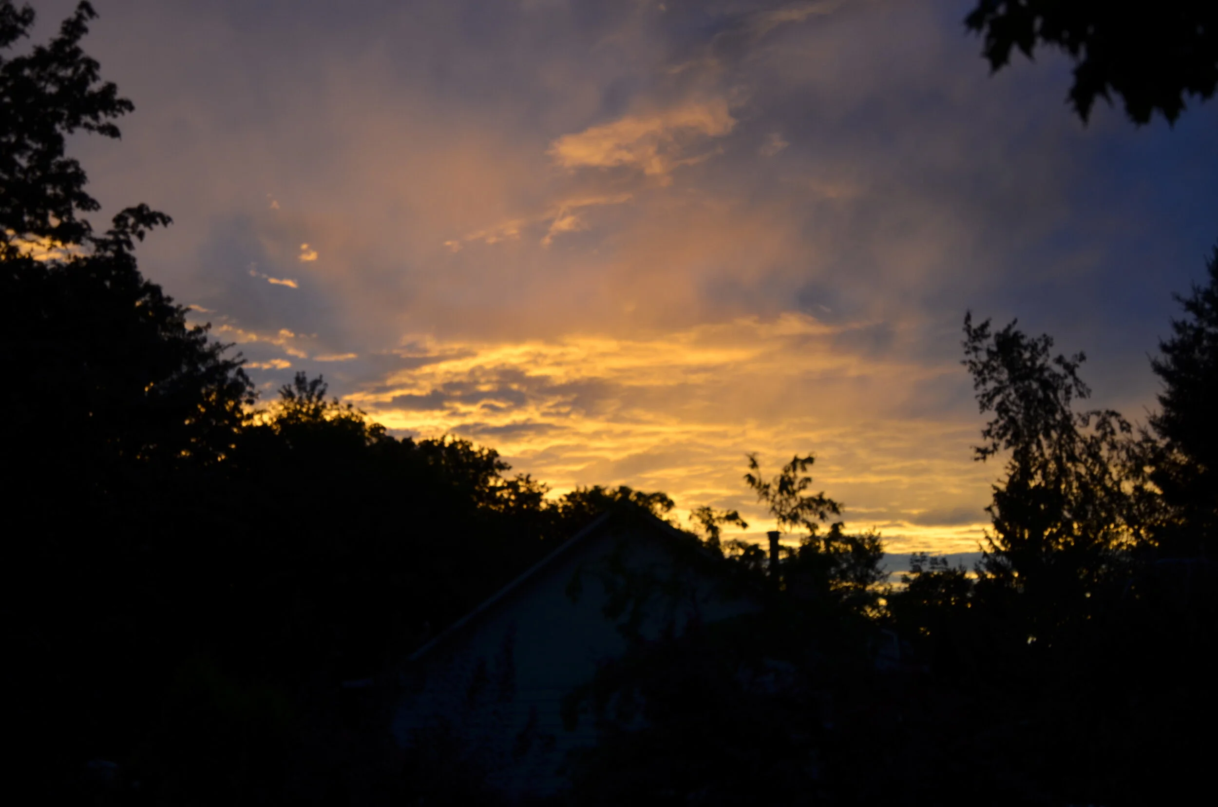 DSC_2571.JPG