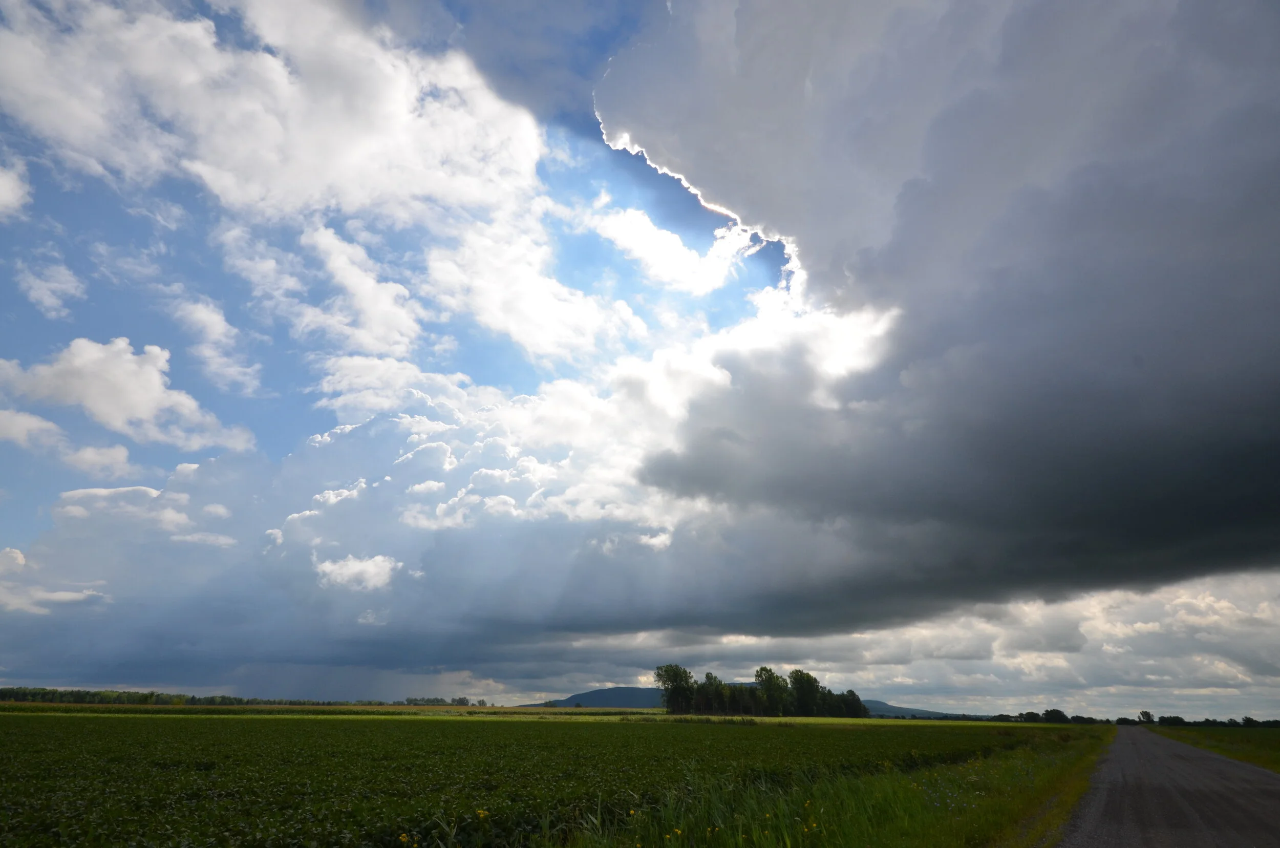 DSC_5334.JPG