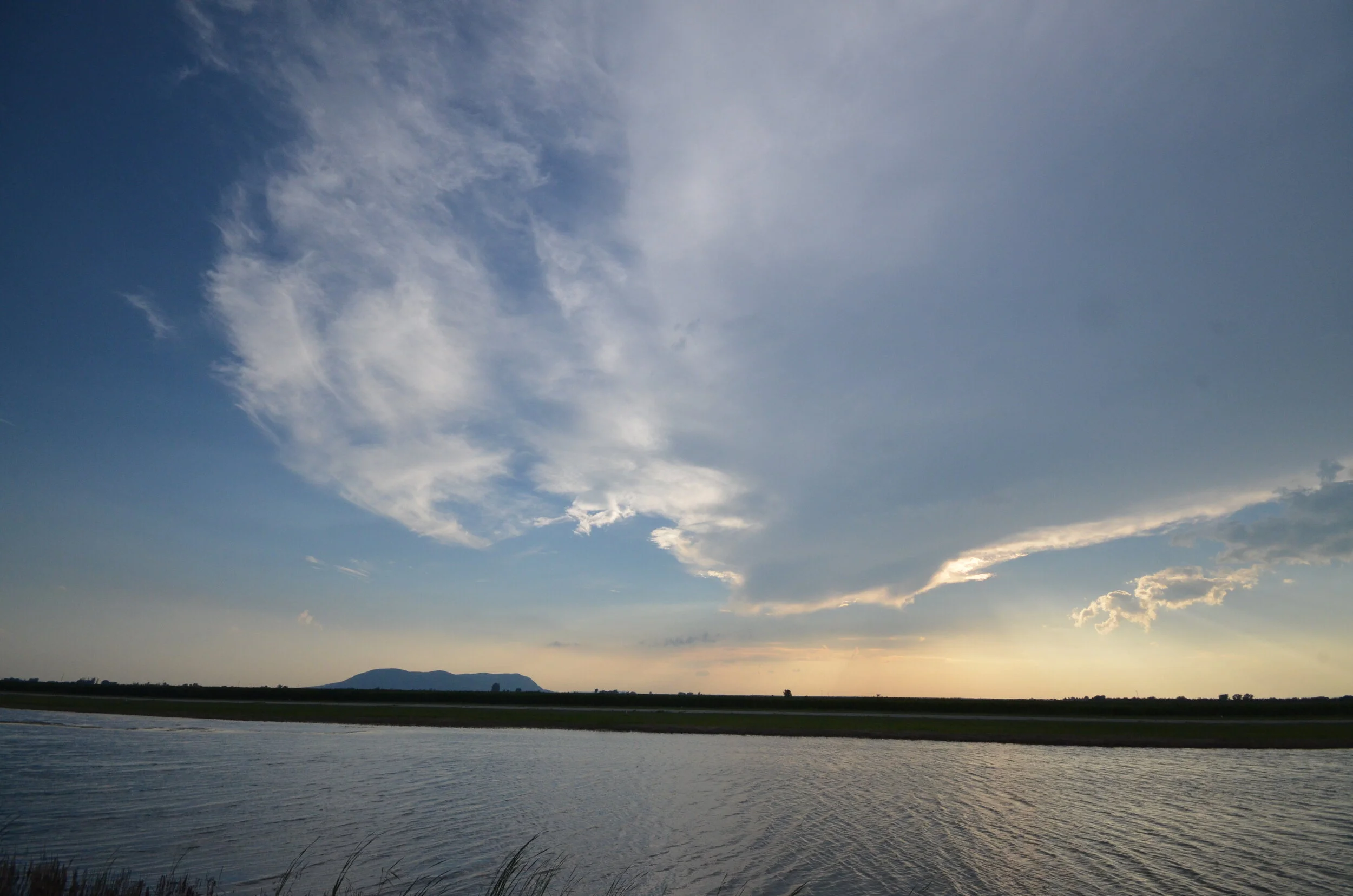 DSC_3499.JPG