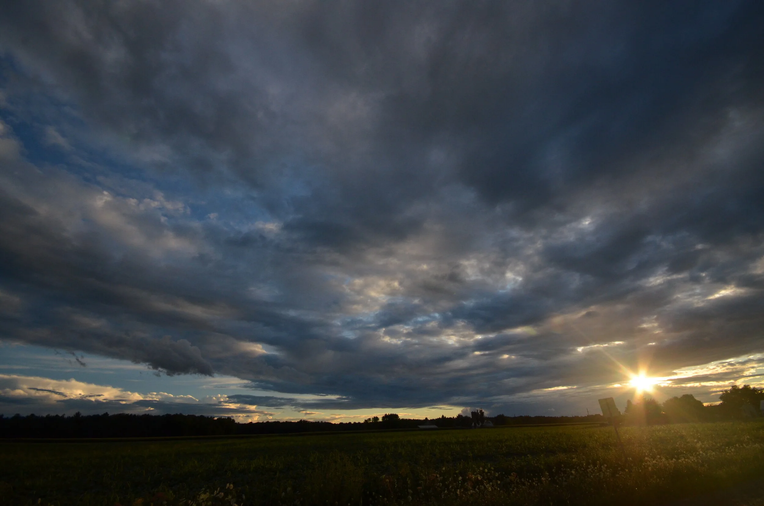 DSC_1827.JPG