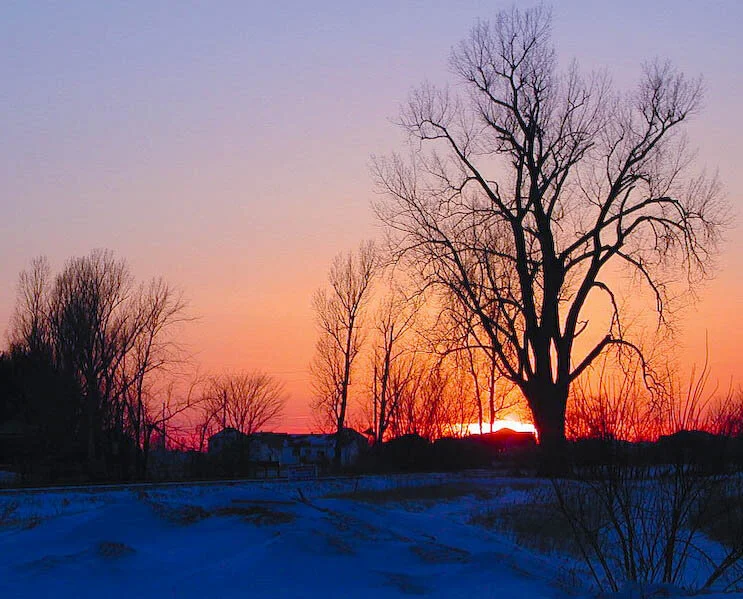 Soleil d'hiver.jpg