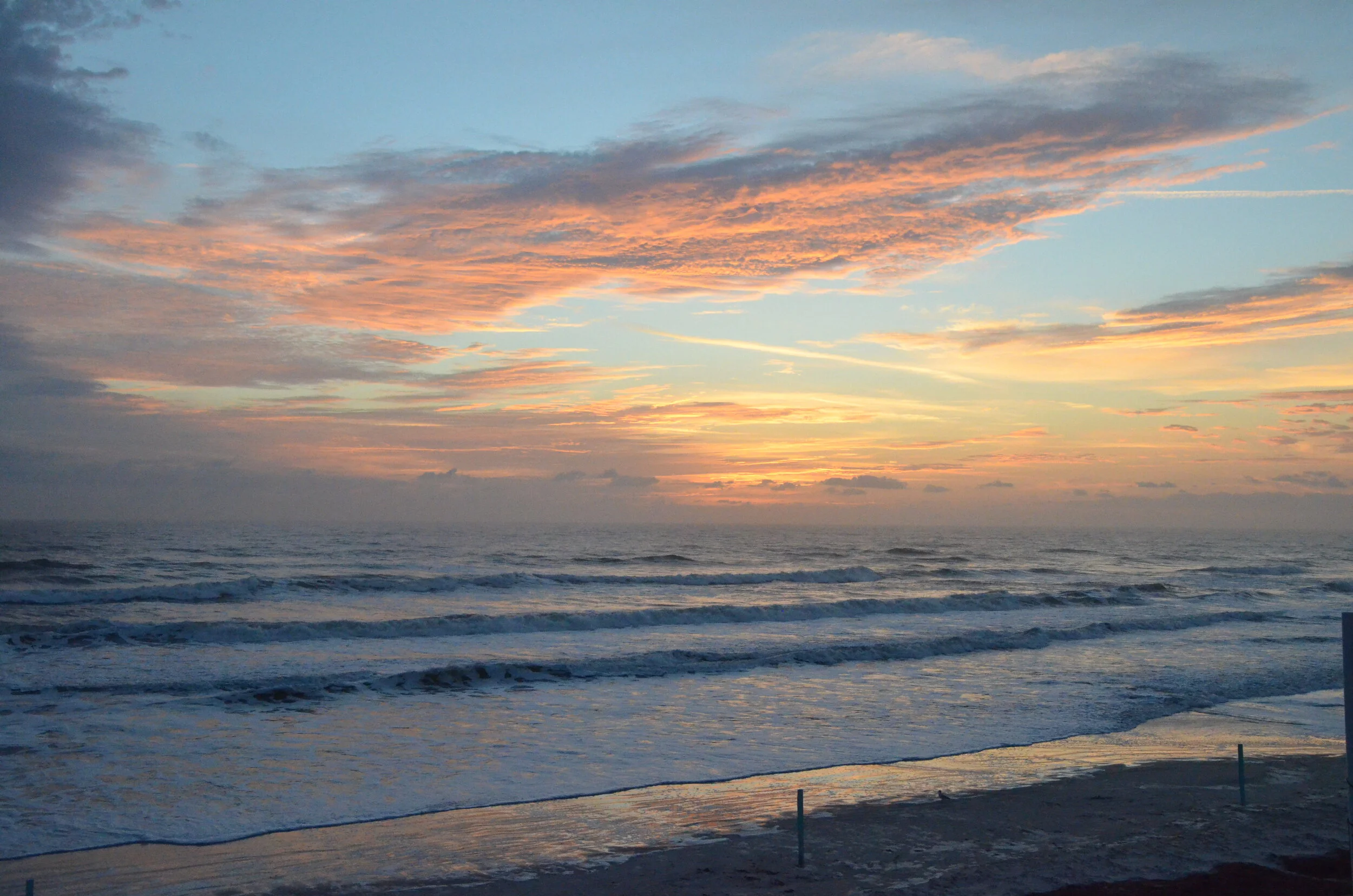 DSC_5112.JPG