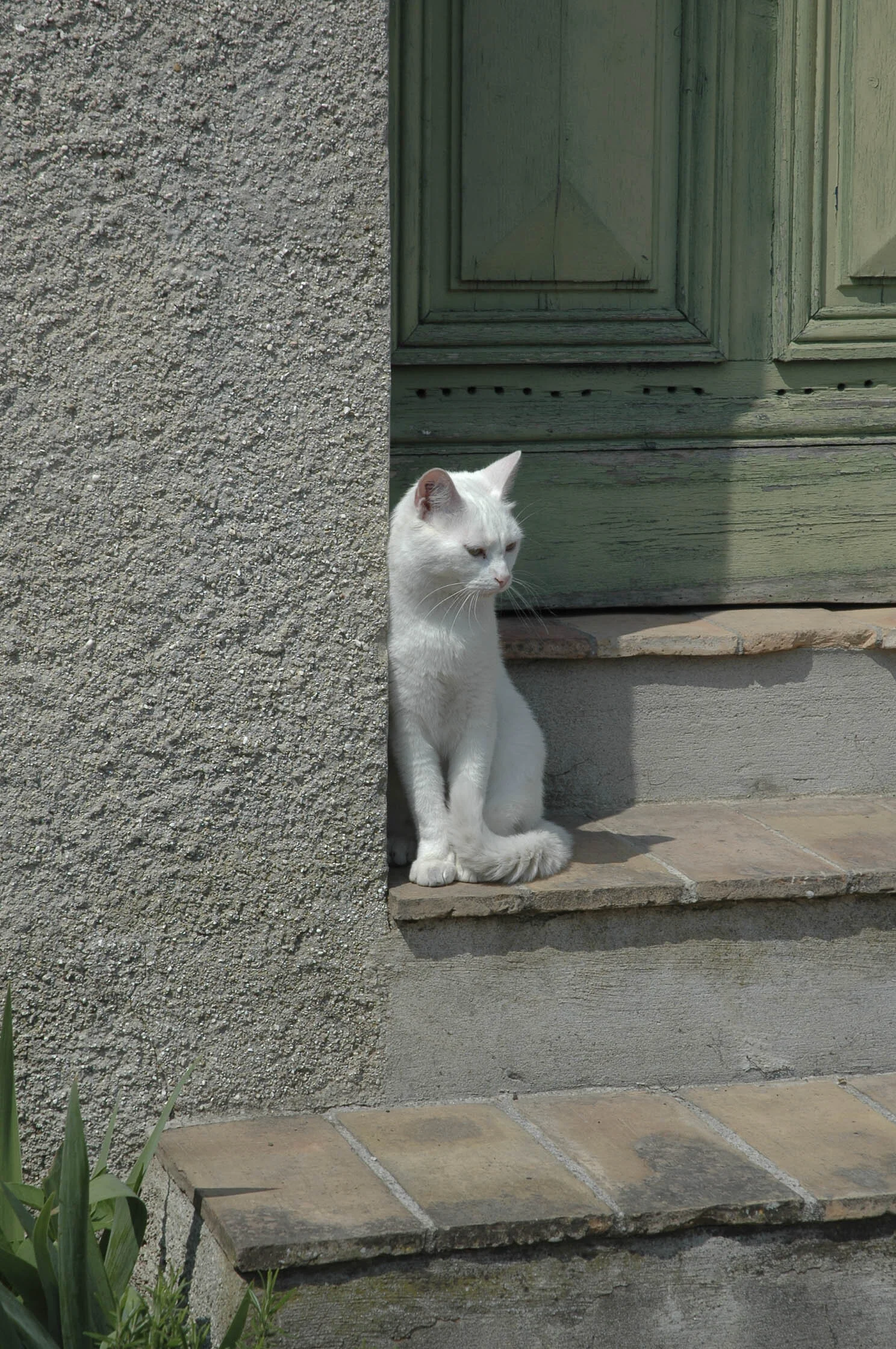 Blanc Minet.jpg