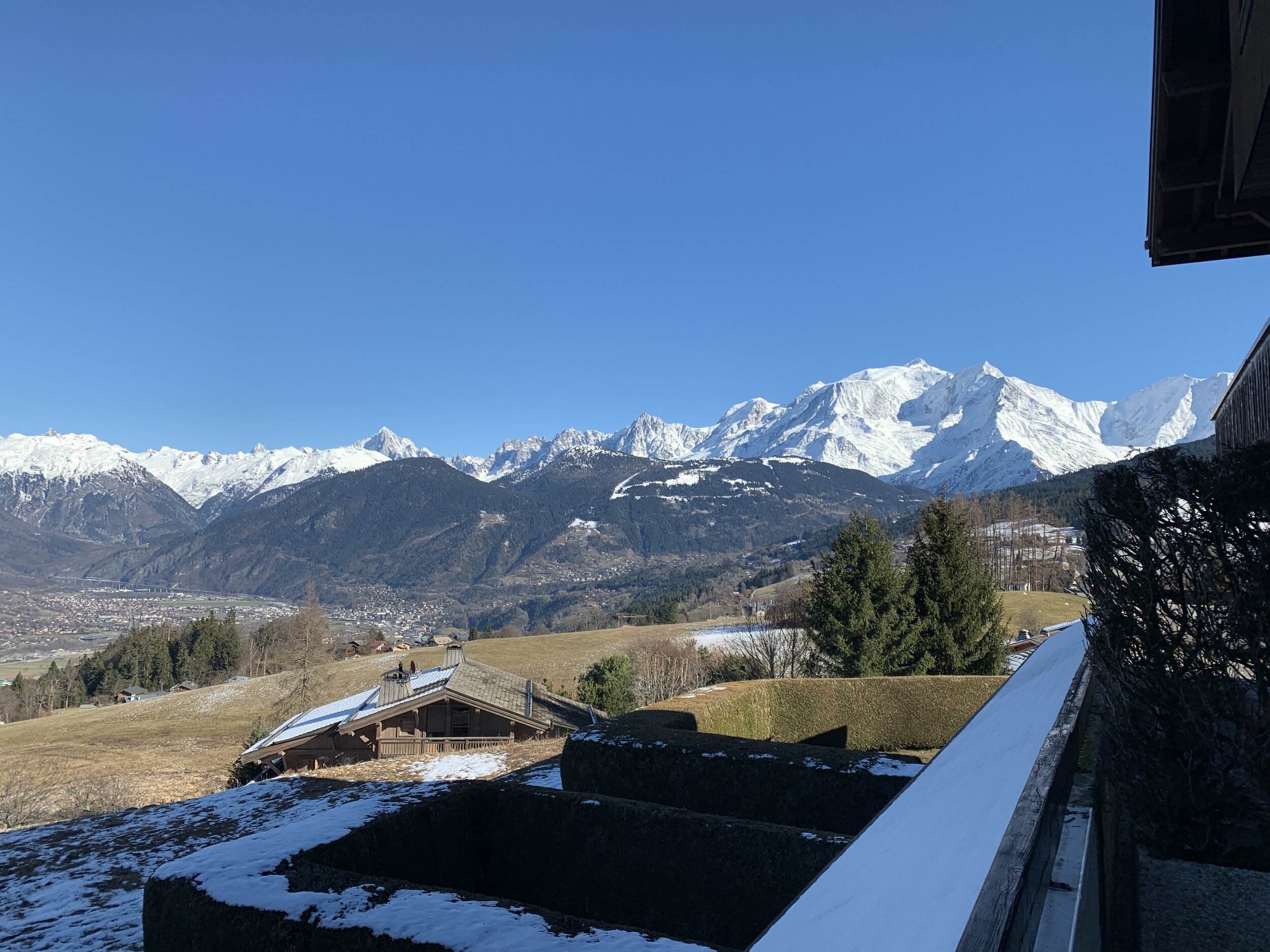 60389908829__2181C6D7-0331-402E-B8BD-240E0D53DF08.jpeg