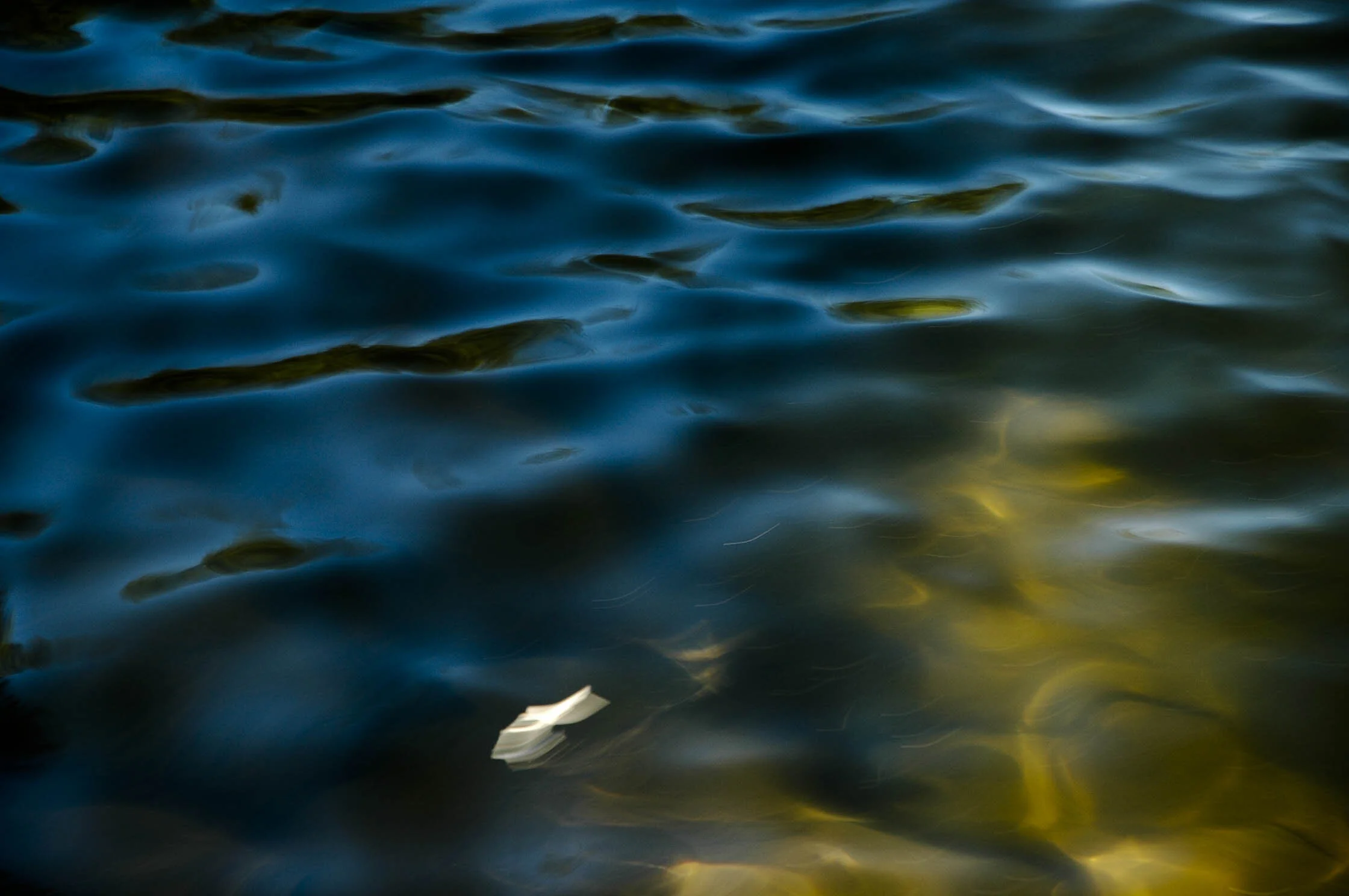 Yellow Blues.jpg