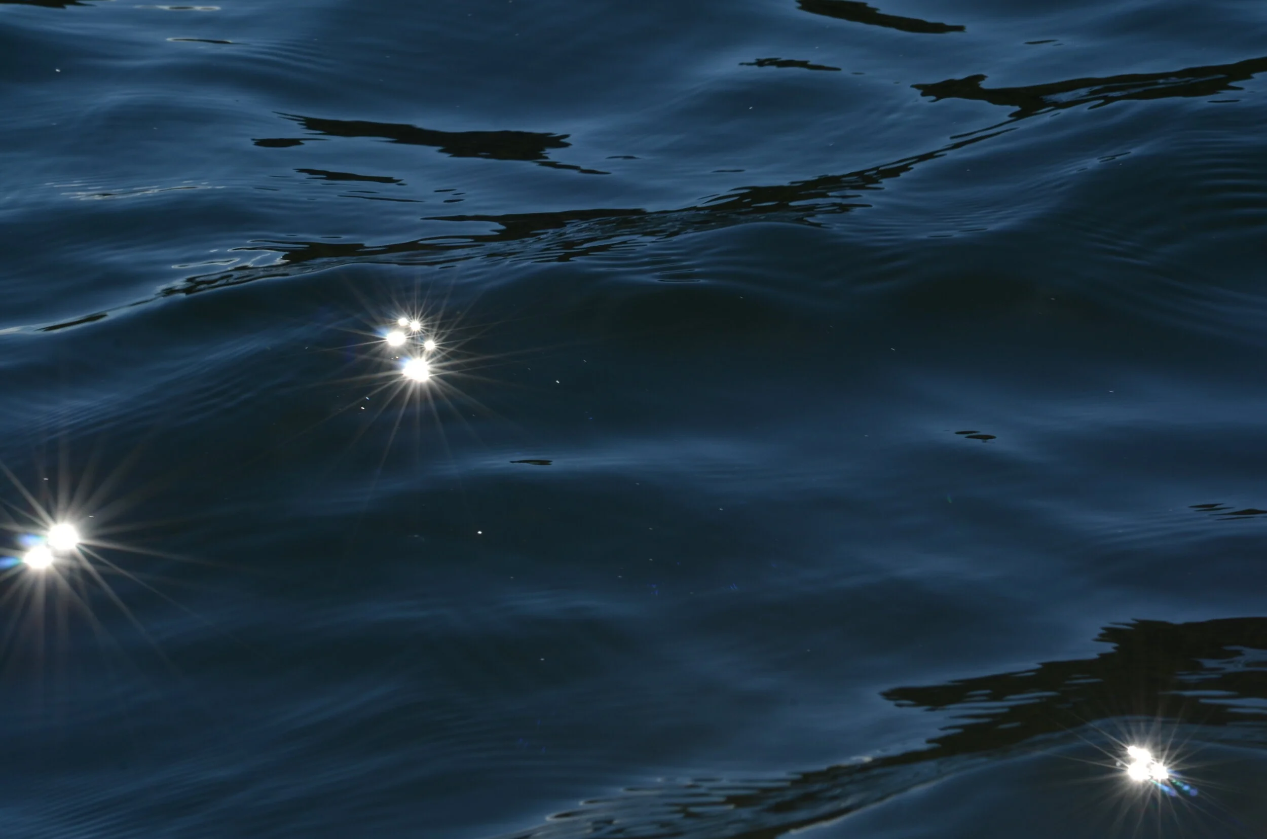DSC_9966.JPG