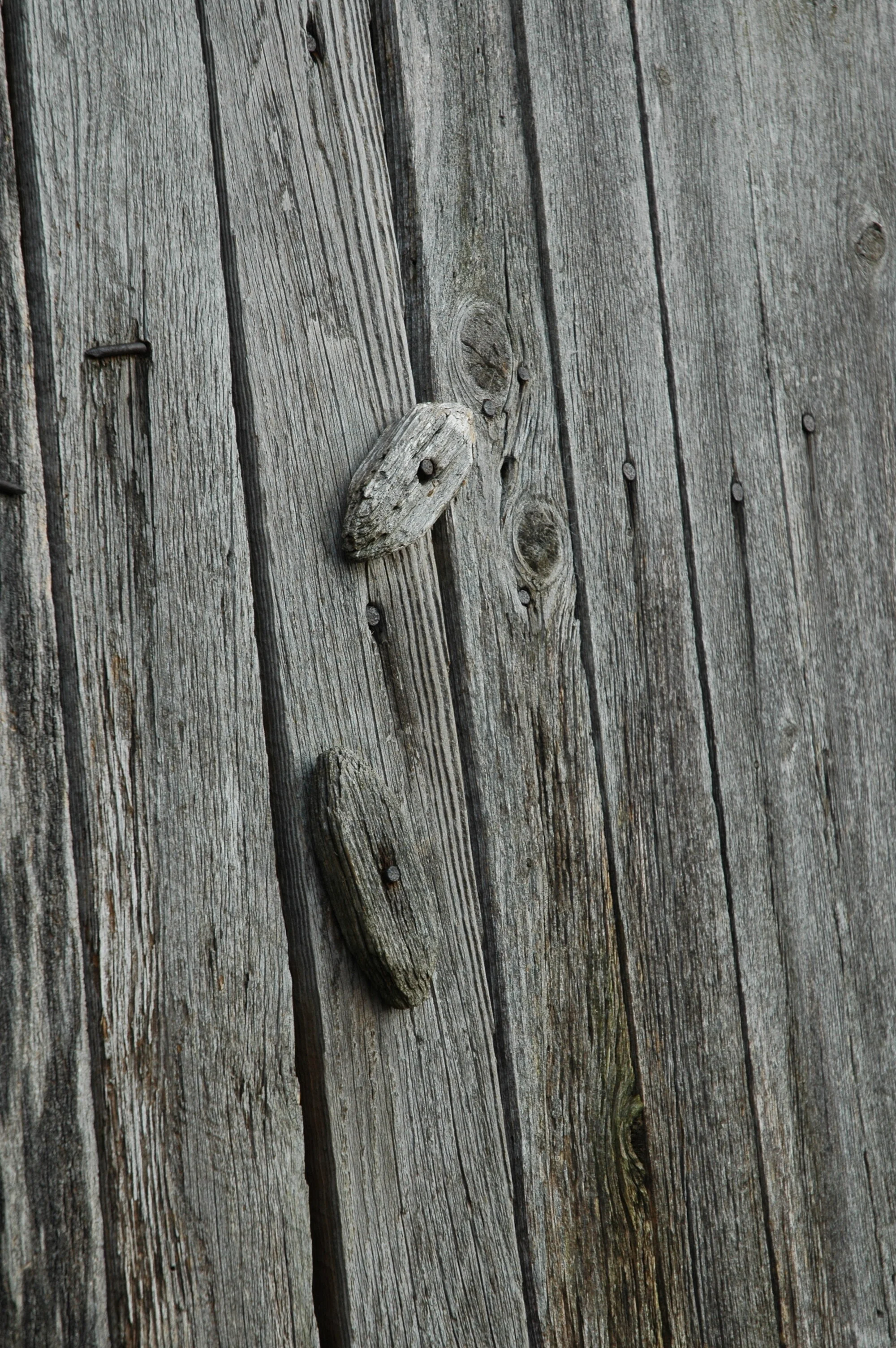 DSC_6364.JPG