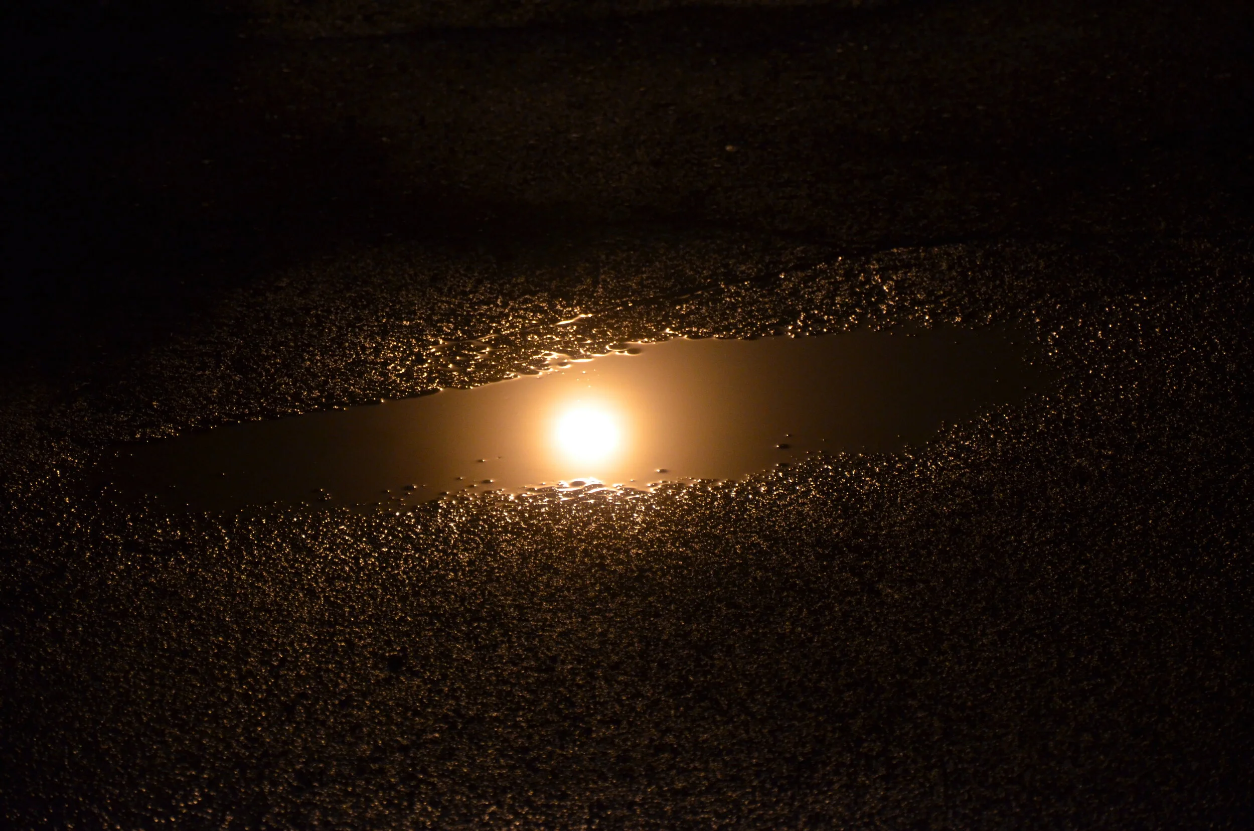 DSC_1313.JPG