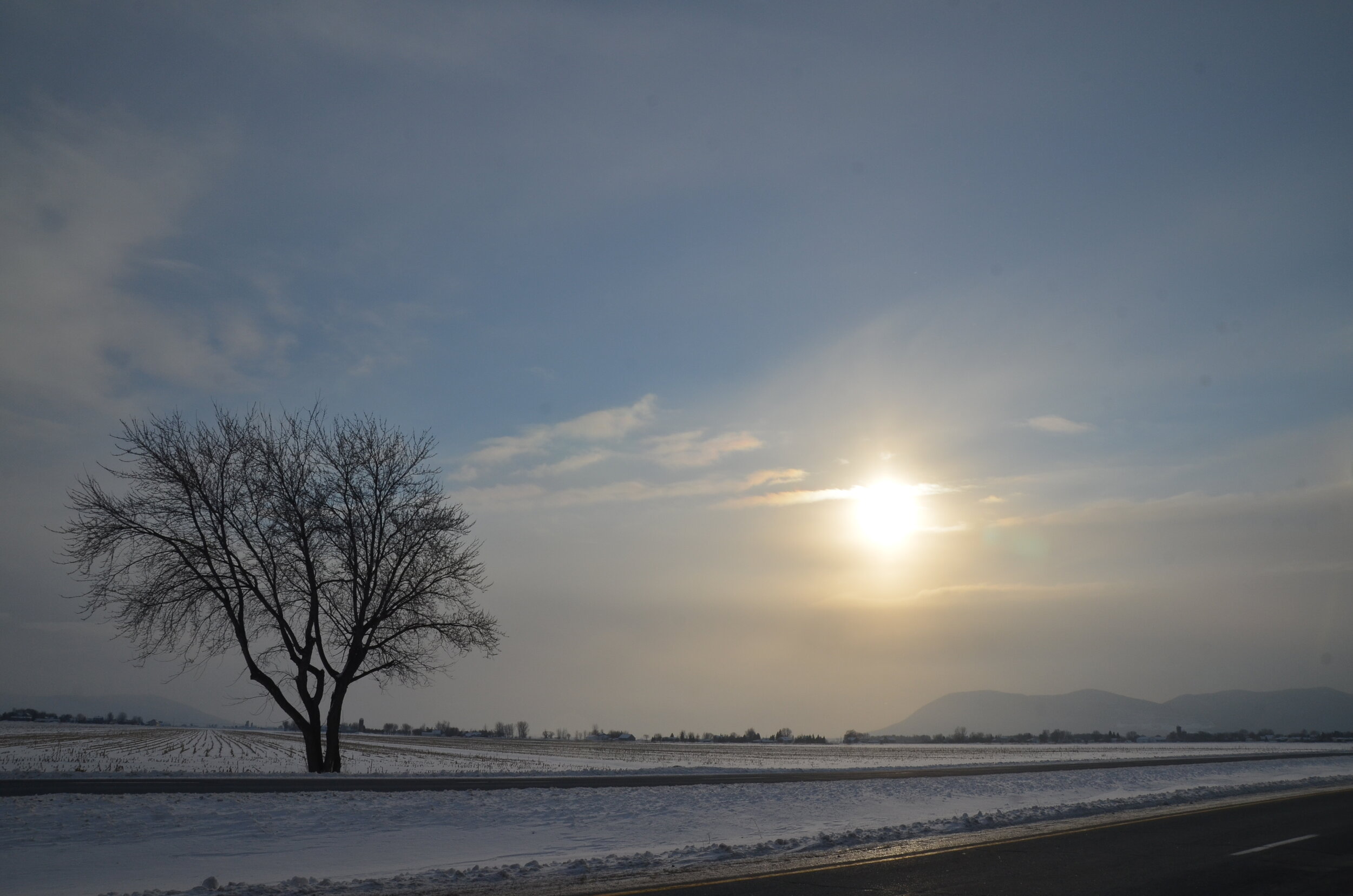 DSC_4270.JPG