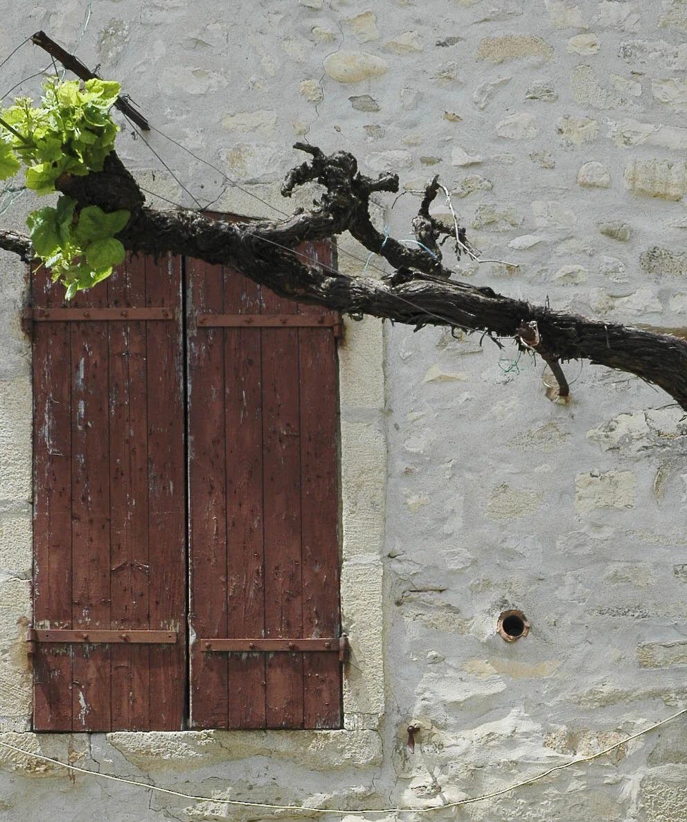 Saint-Paul-de-Vence
