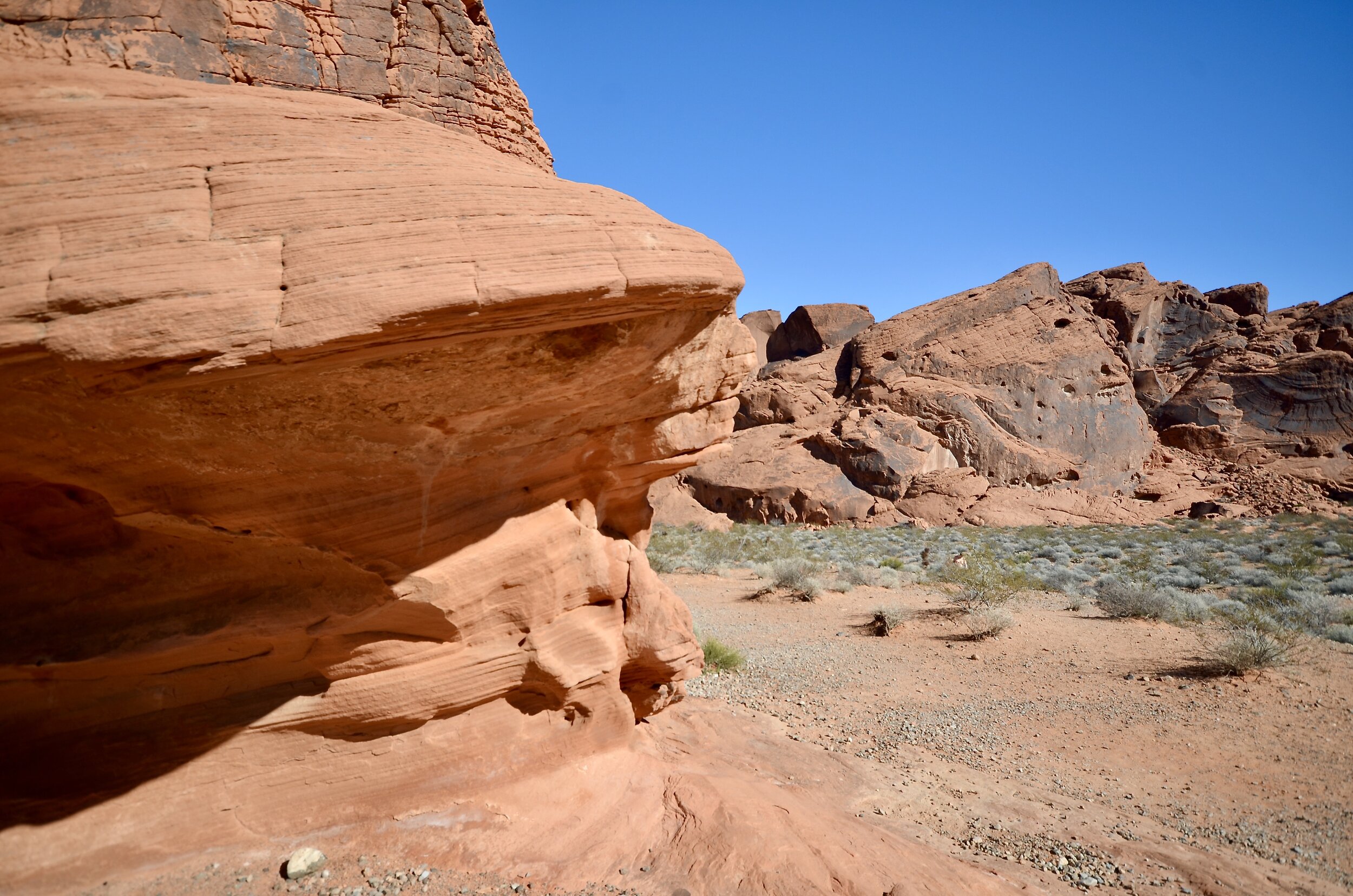 Valley of Fire State Park (Nevada)